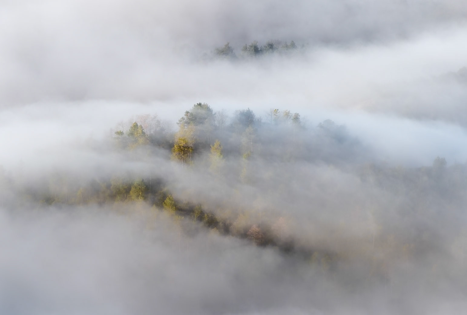 Misty Morning, Osona