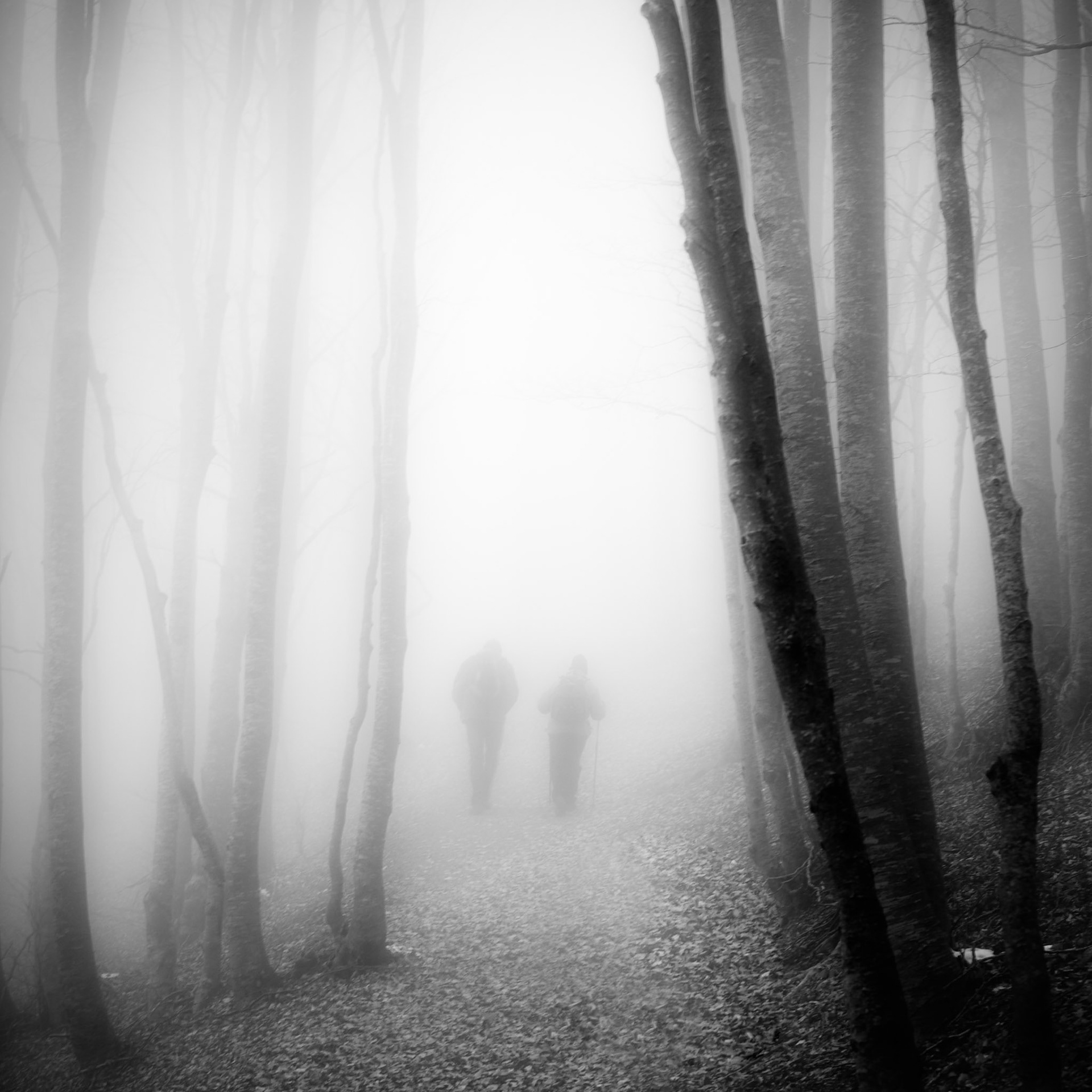 Montseny, Catalunya