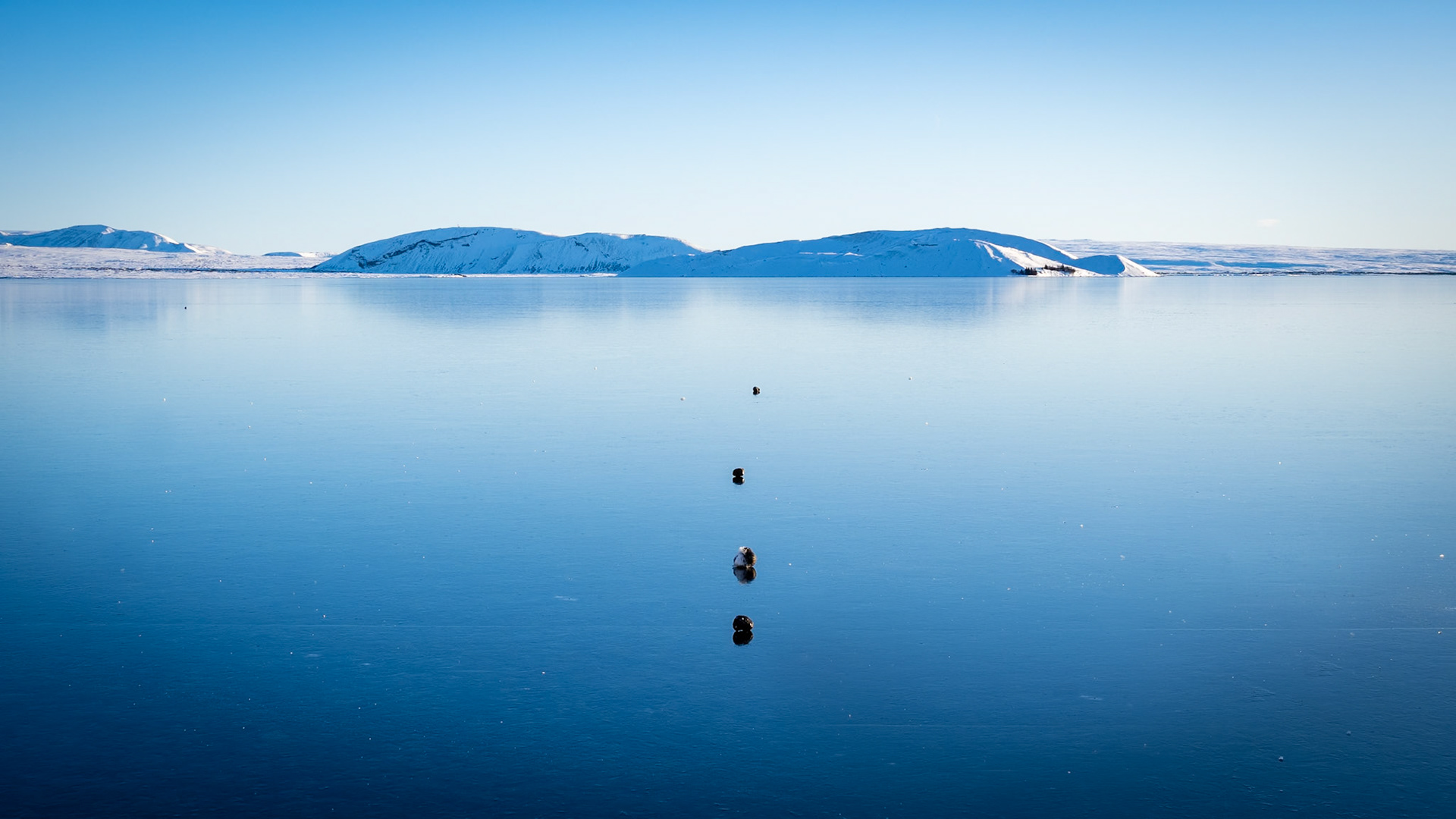 Near Þingvallavatn, Iceland