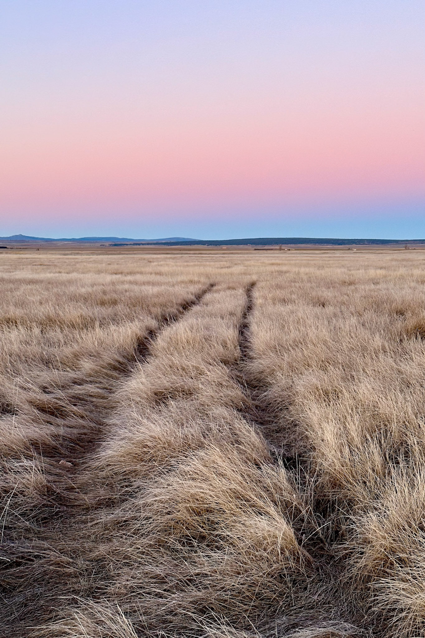 Golden Hour, Gallocanta, Spain