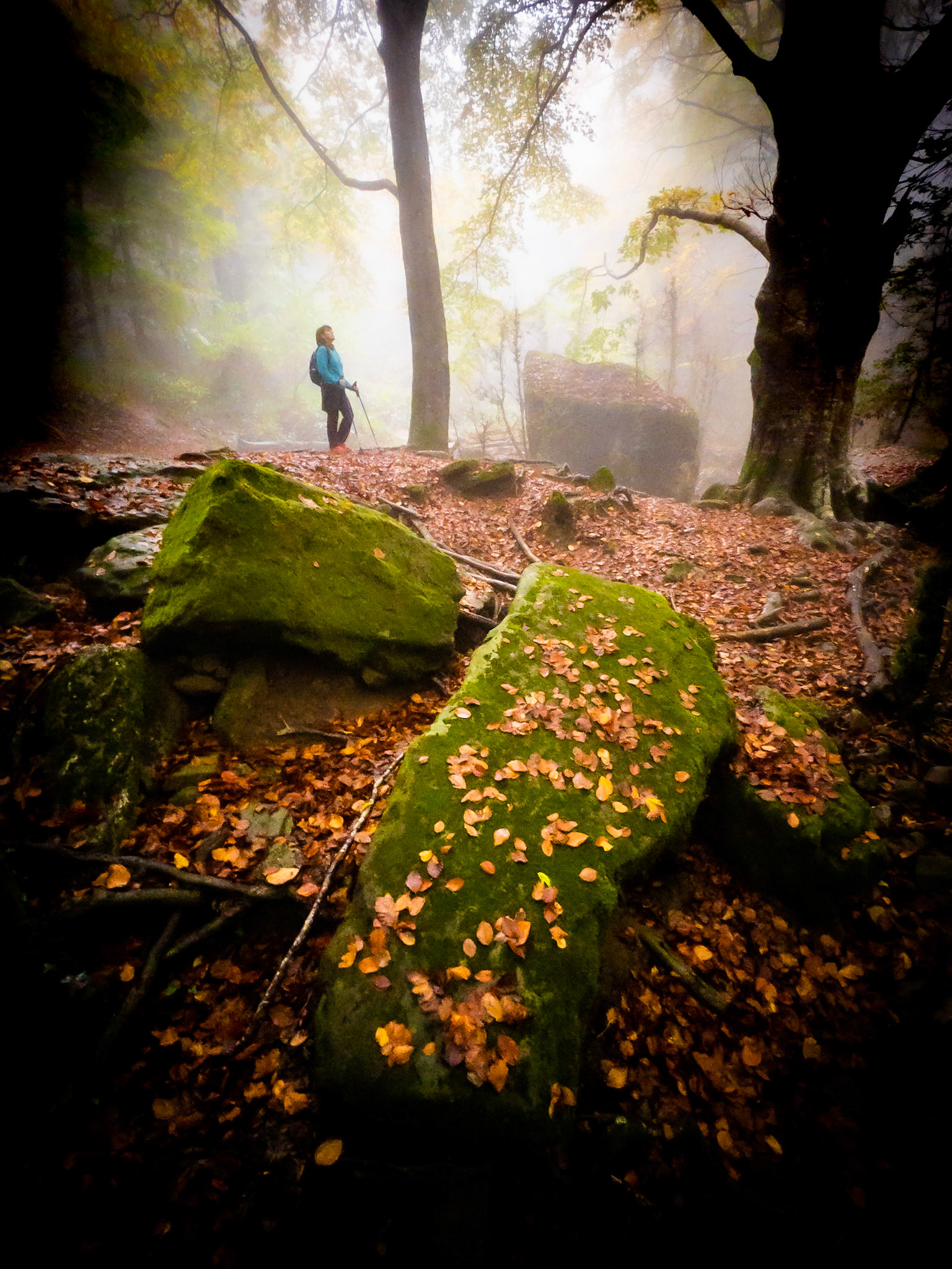 Fall in La Grevolosa, Osona