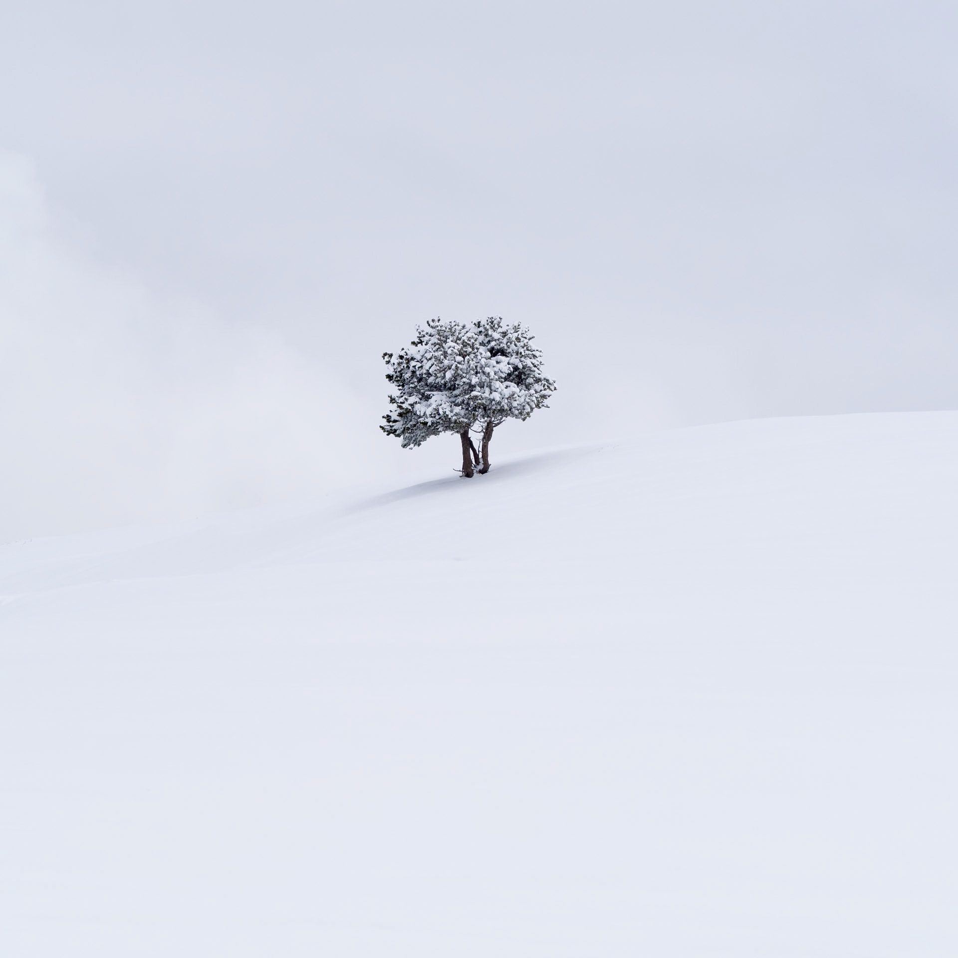 Winter, Catalan Pyrenees