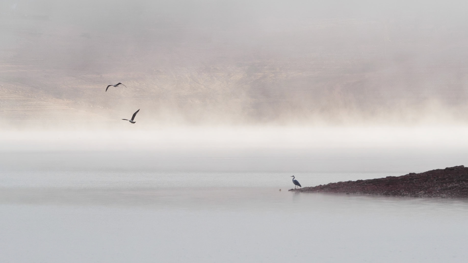 Sau Reservoir, Catalunya