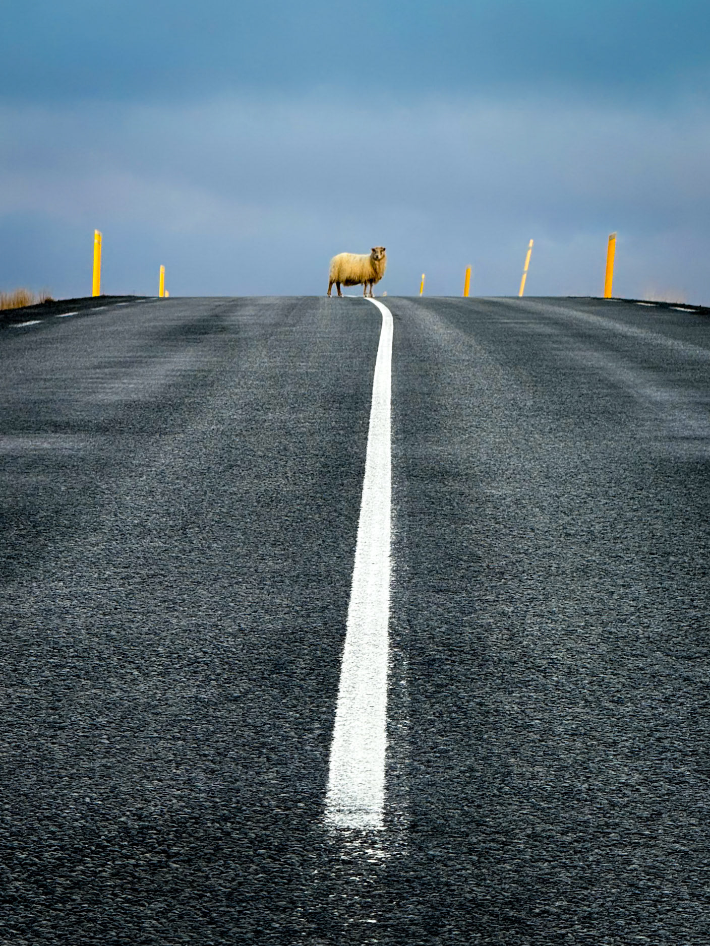 Ringroad #1. Northern Iceland