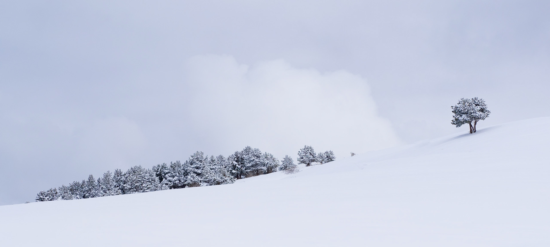 Winter, Catalan Pyrenees