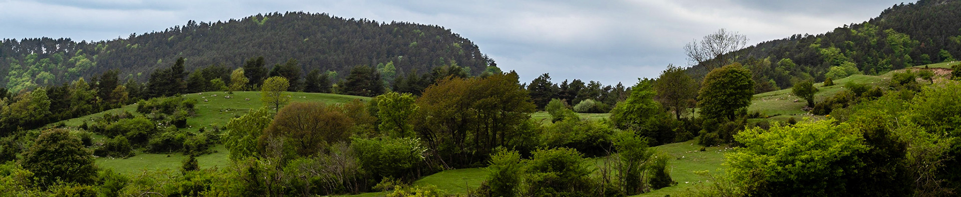 Panorámica de prados en la zona de la Pobla de Lillet