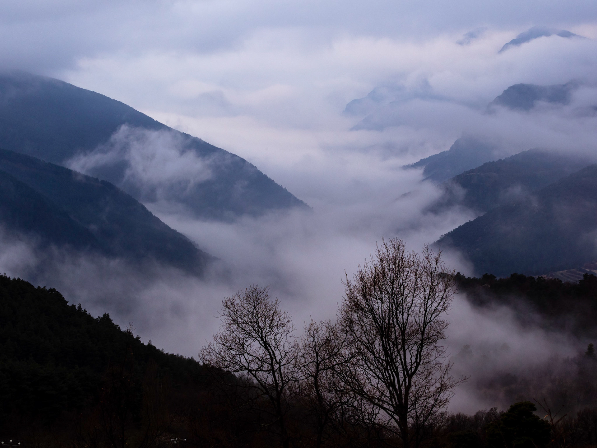 Vistas desde Musser