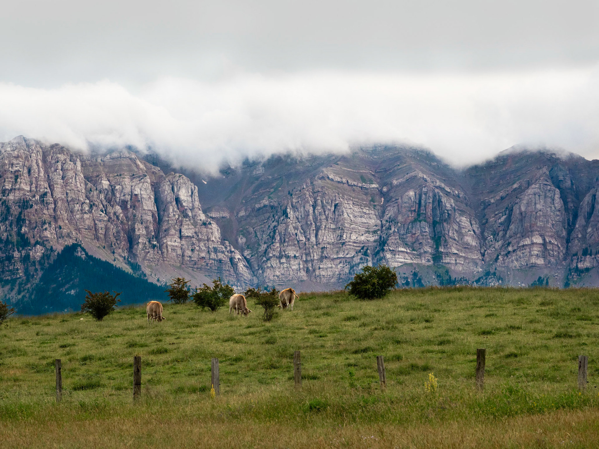Cara norte desde Viliella