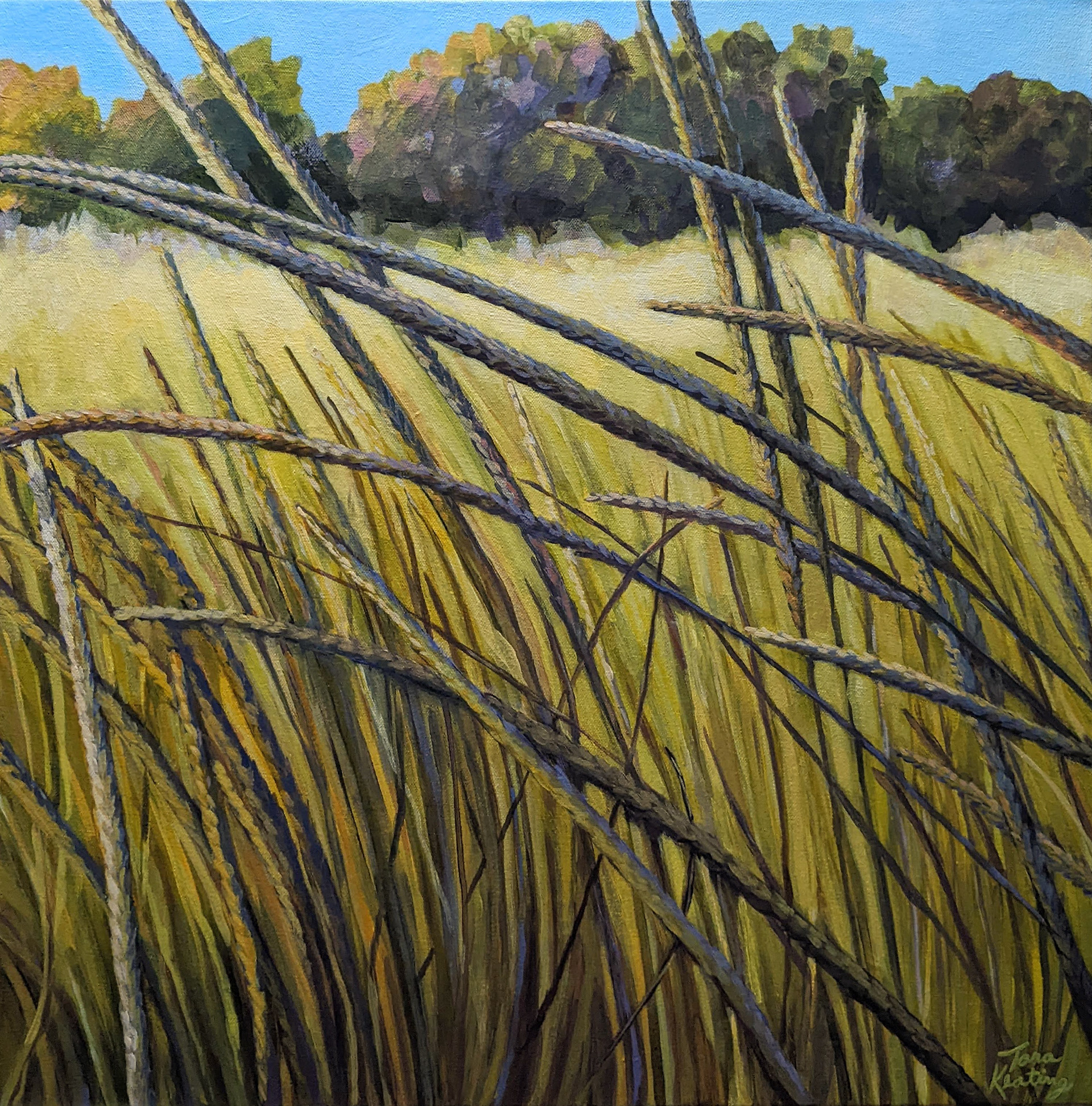 Marram Grass by the Lake