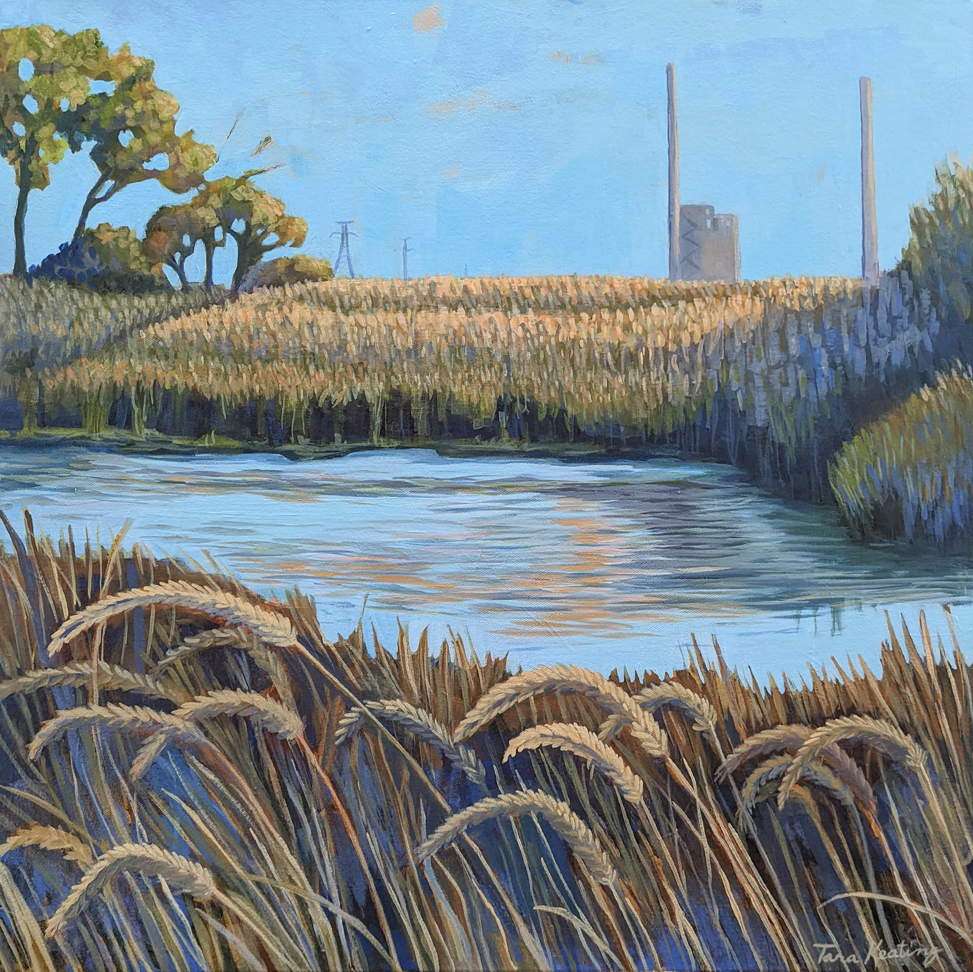 Prairie Moment