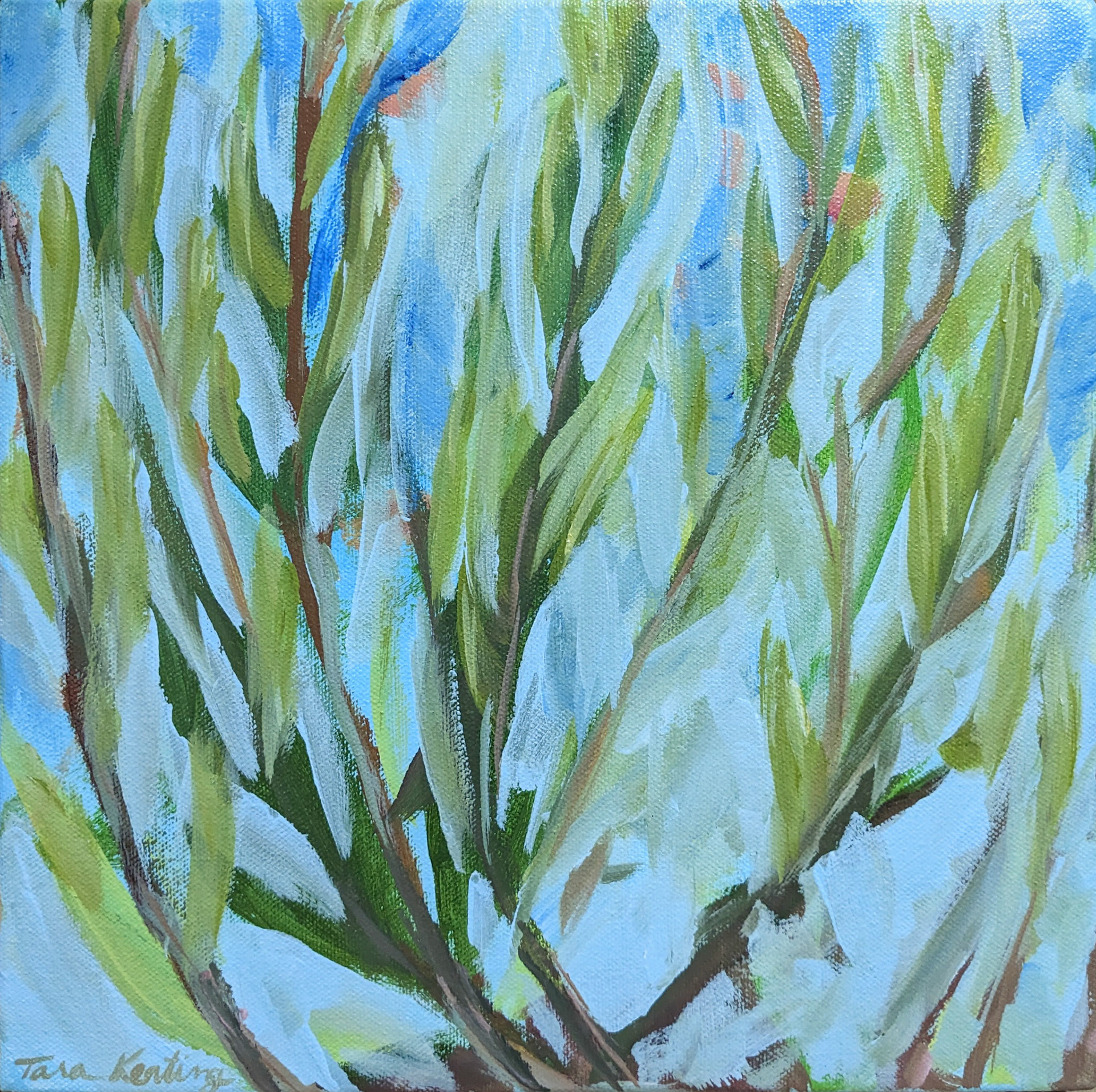 Uplift (Dogwood), 12x12 inches on gallery wrapped canvas $600