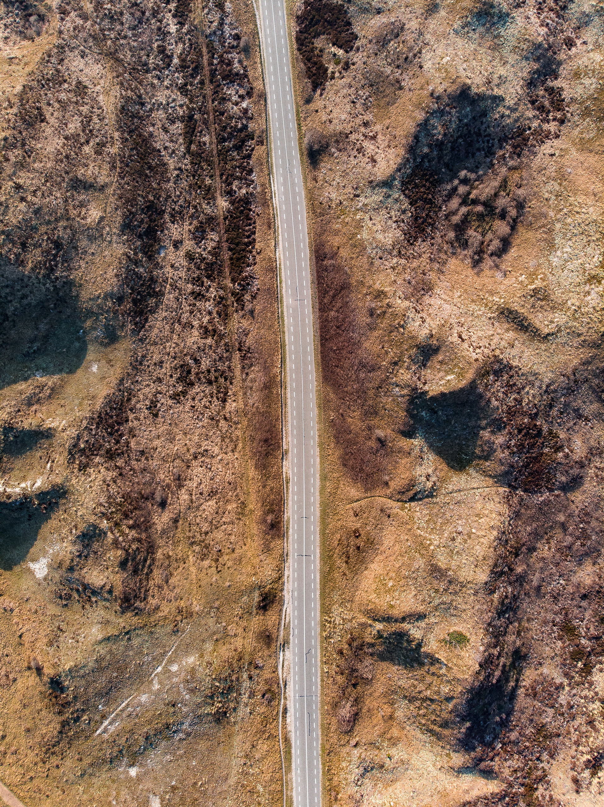 Texel, Netherlands. Driving through the natural reserve of Texel island.