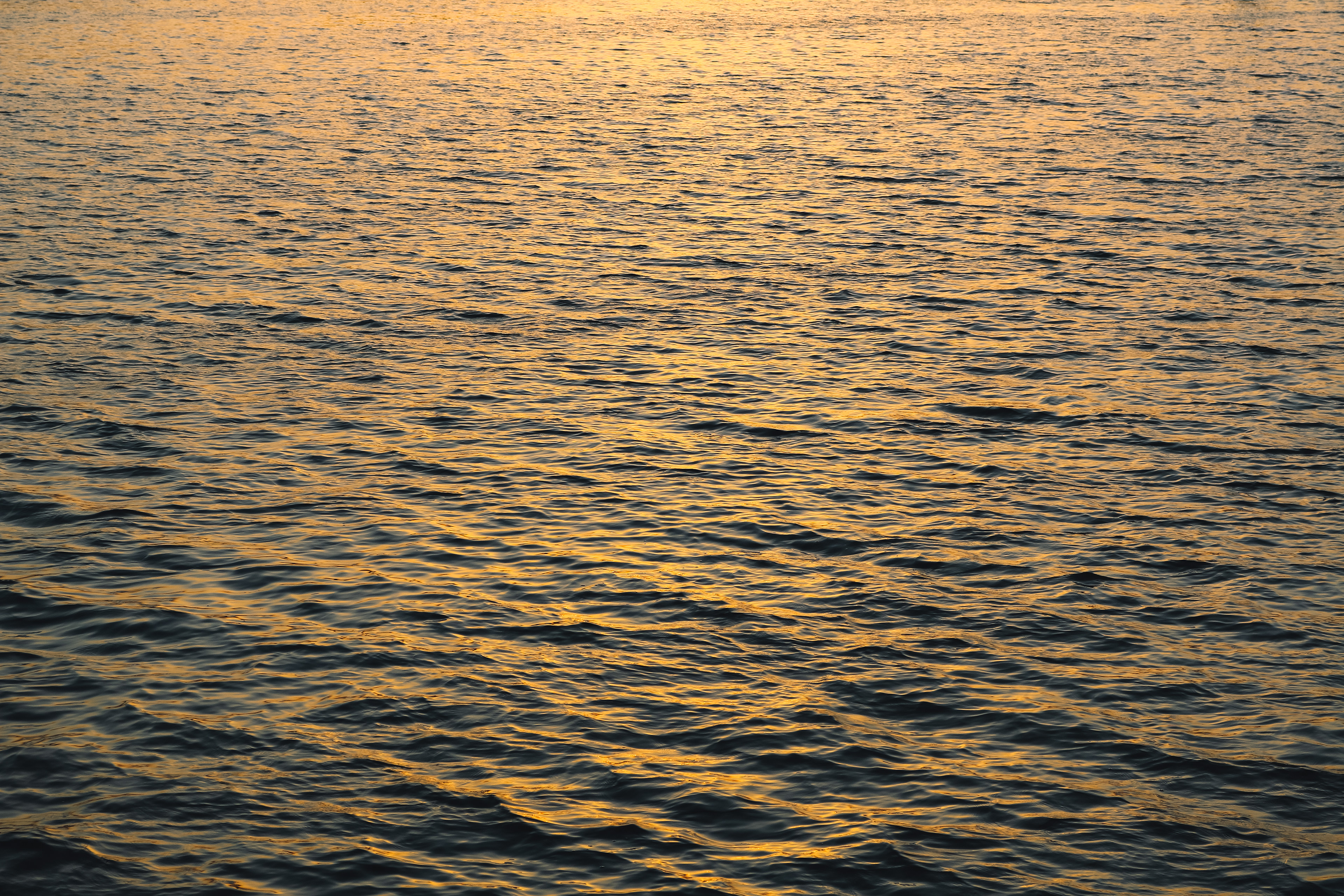 Iran, Tehran. Sunset at Chitgar Lake, also called Lake of the Martyrs of the Persian Gulf.