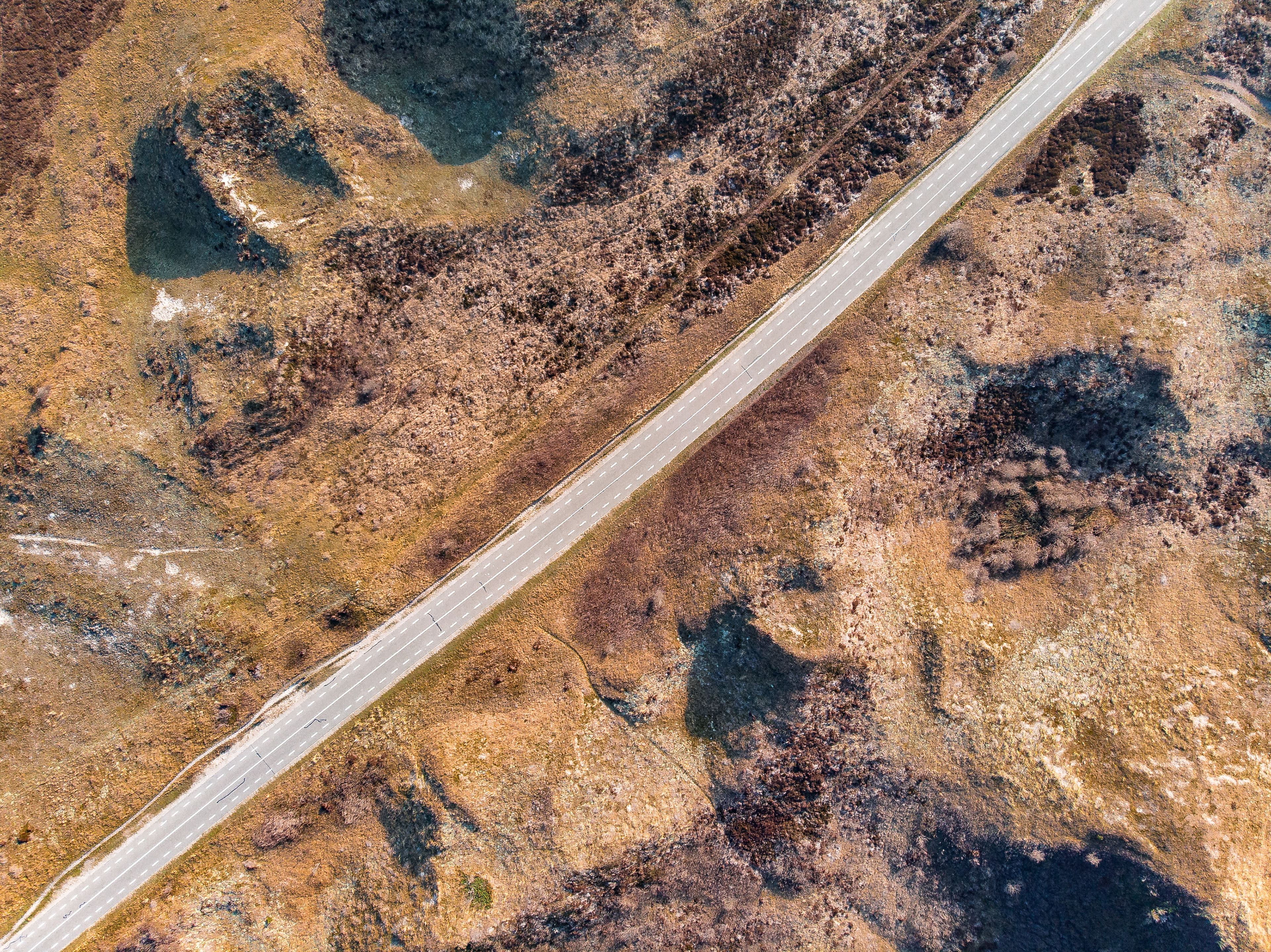 Texel, Netherlands. Driving through the natural reserve of Texel island.