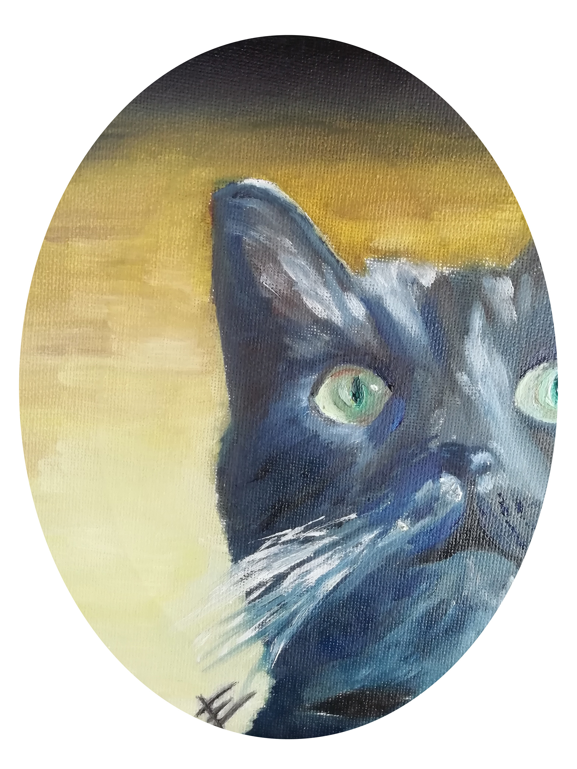 "Contemplando el Nirvana". Retrato de mi difunda gatita Luchita. Óleo en tela ovalada 30 x 20 cm