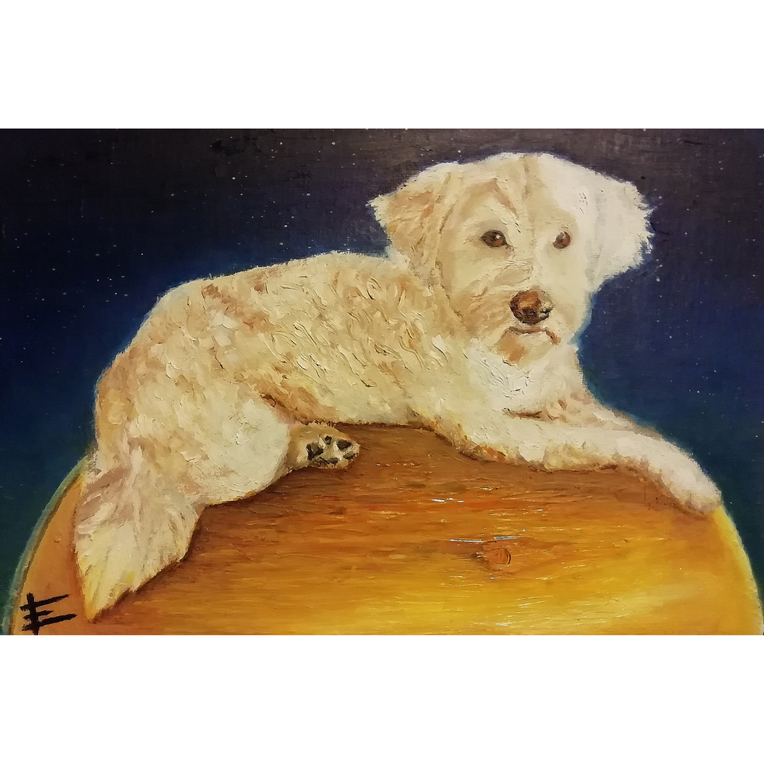  Óleo en cartón tela. 30x20 cm