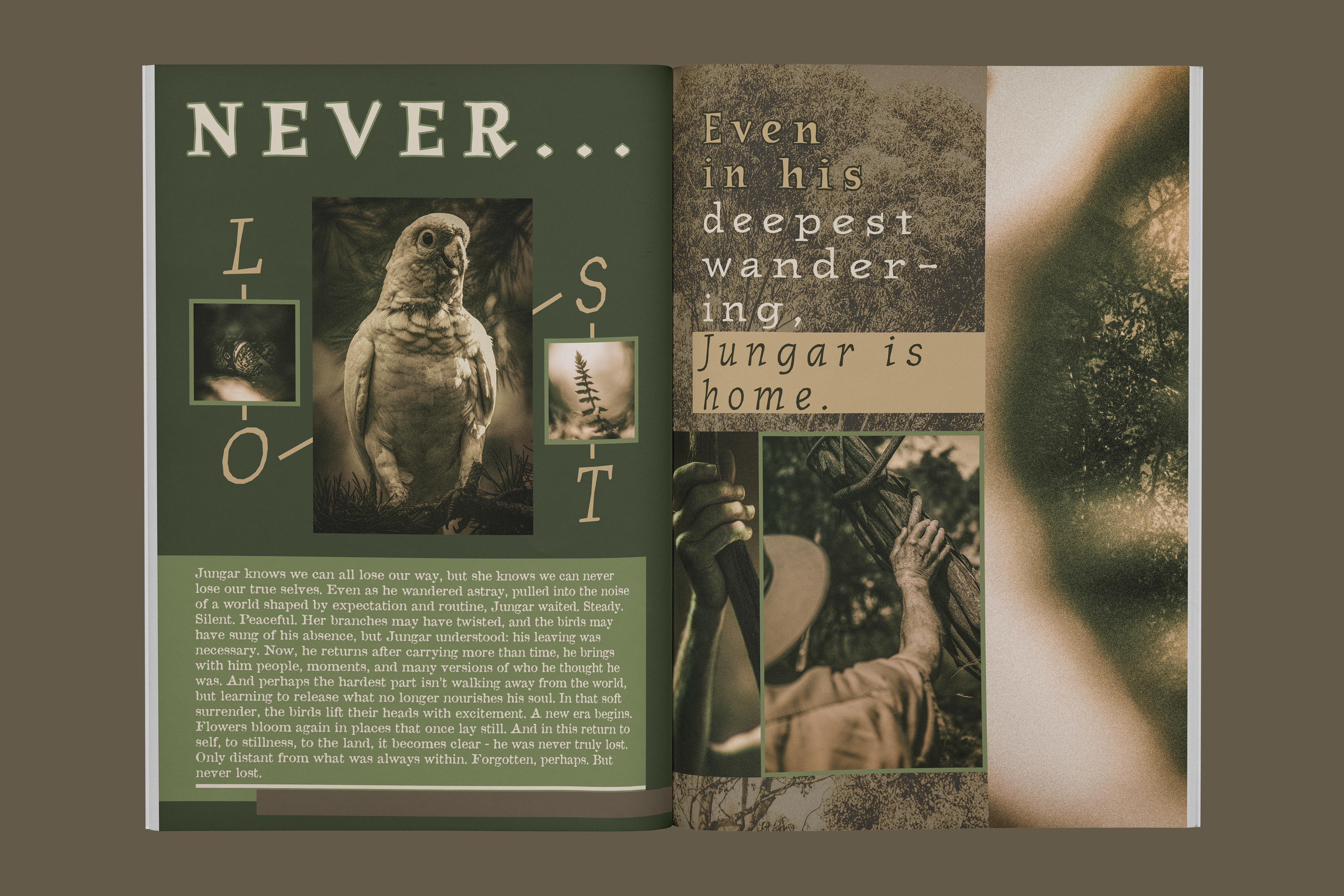 'Jungar' Mockup Publication