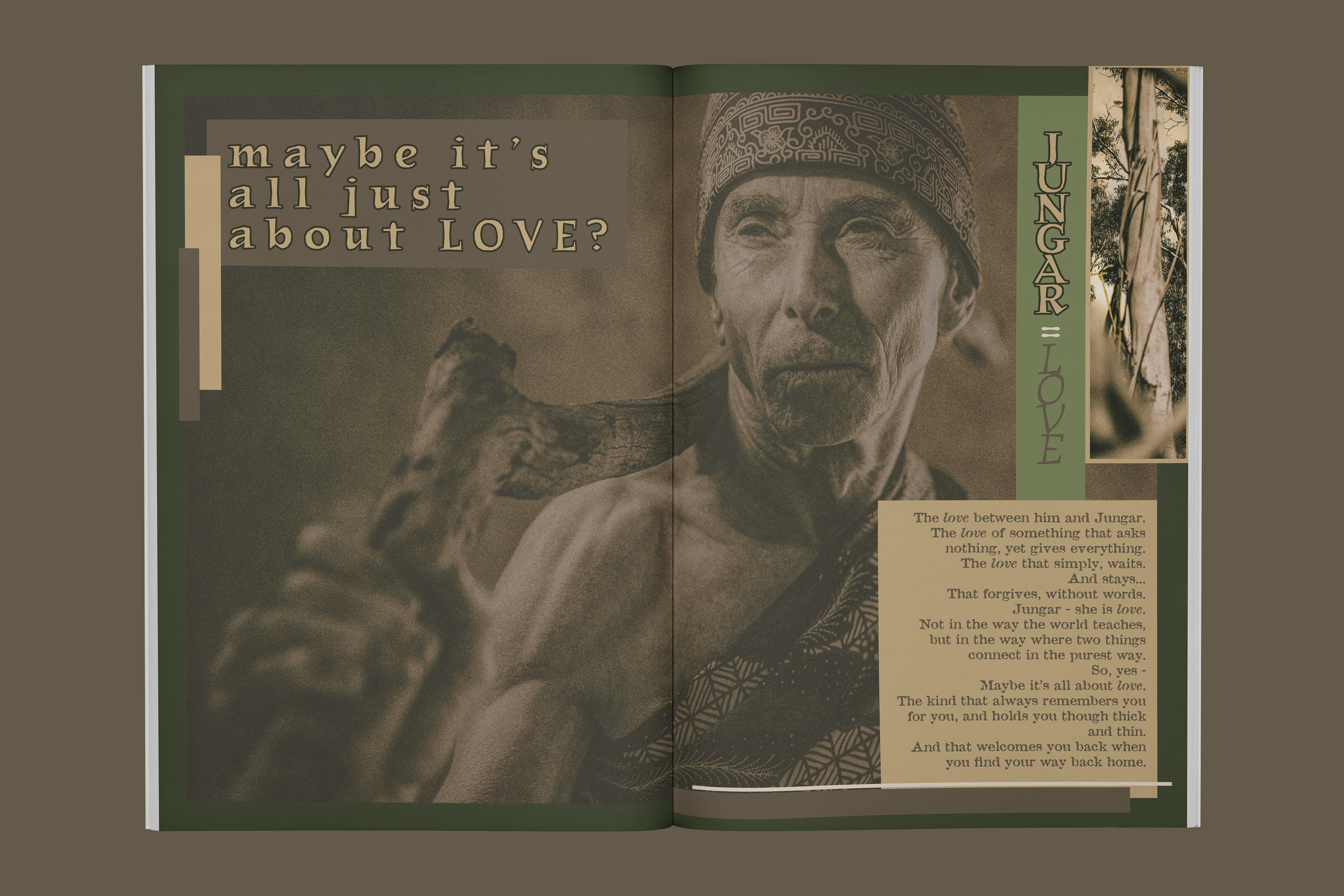 'Jungar' Mockup Publication