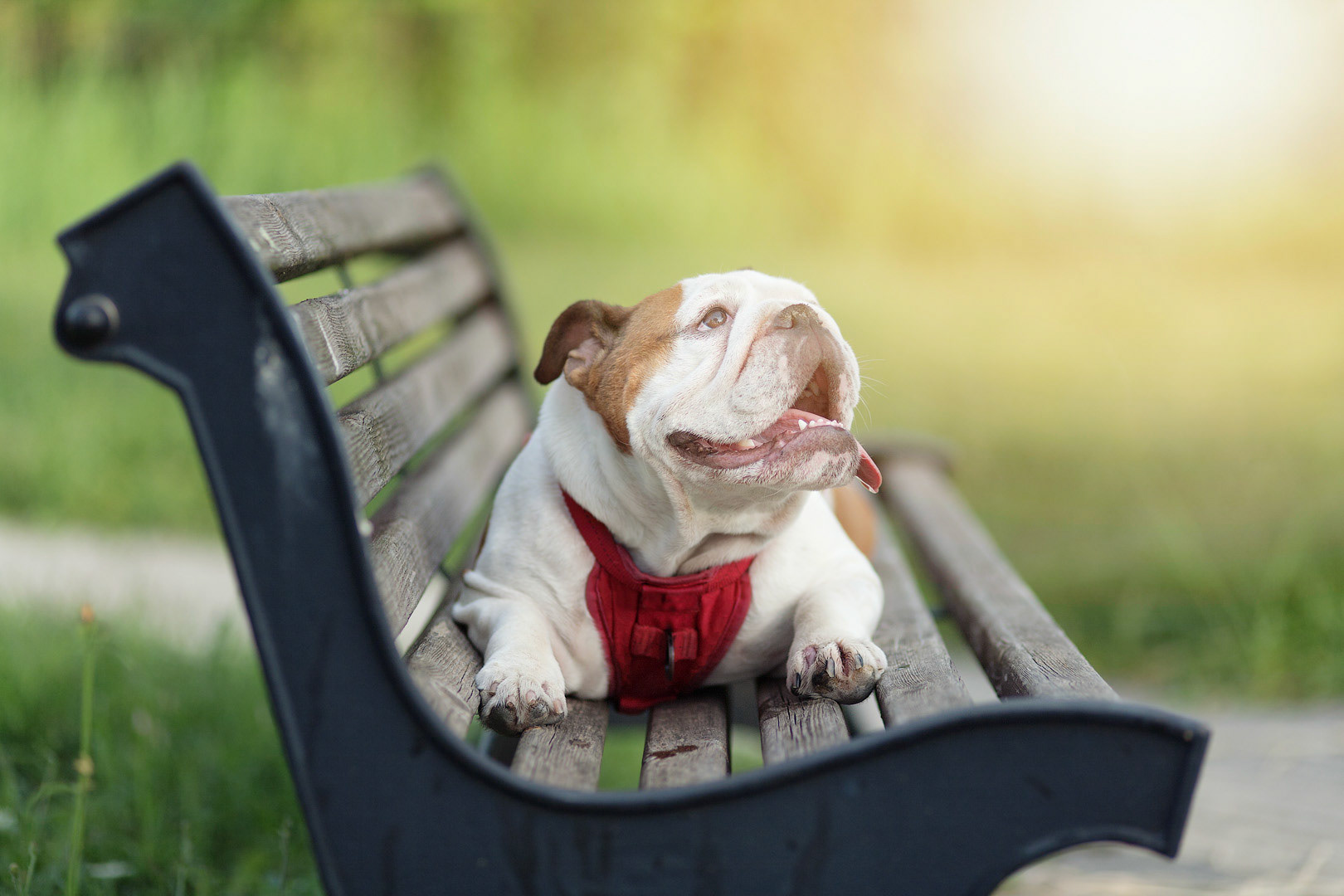 On her favourite bench in Ghezzano