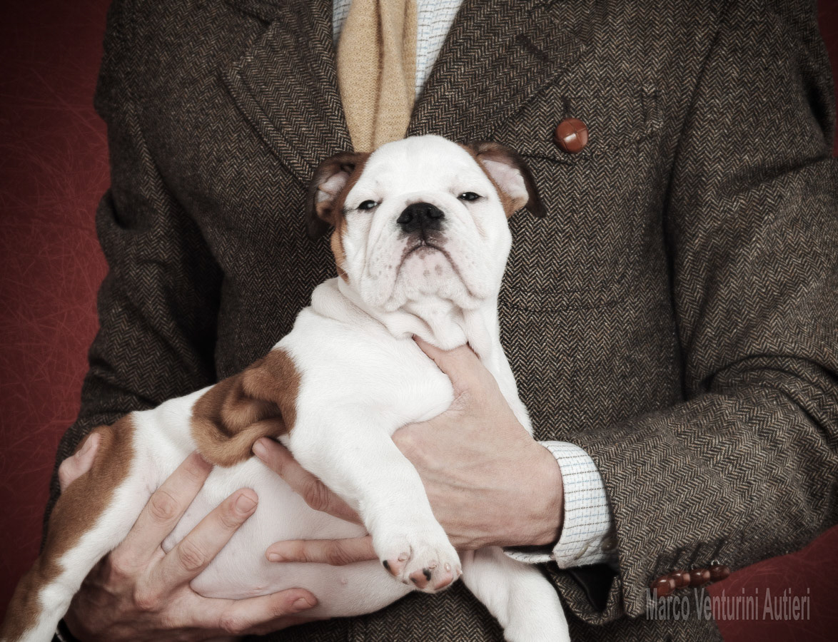 Portrait of an elegant man with his owner (she was three months old)