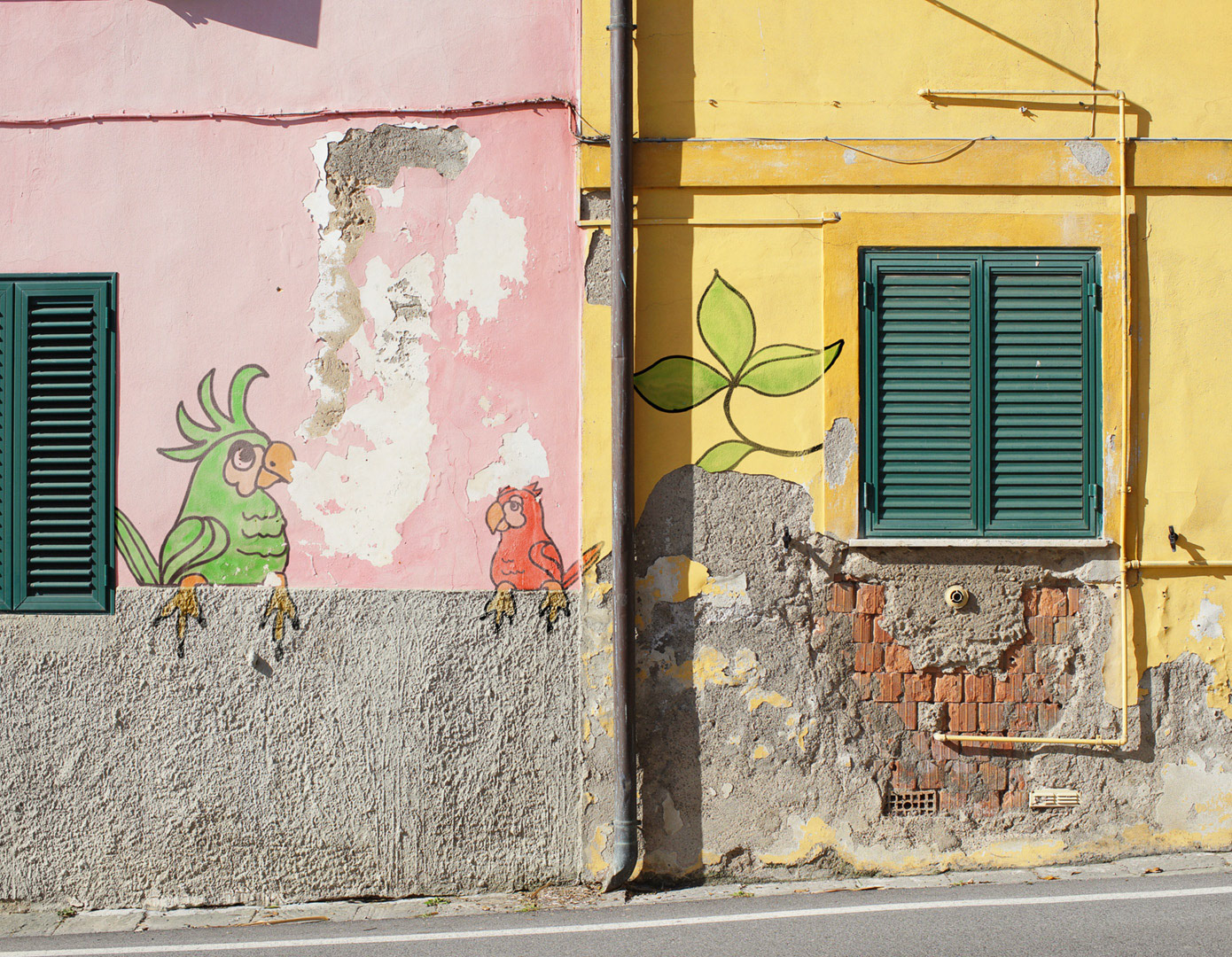 Birds by Katia Giacalone. Orciano Pisano