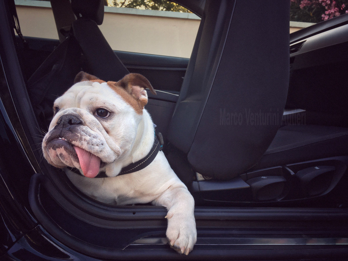 In a black BMW 320D E92.. not very happy?