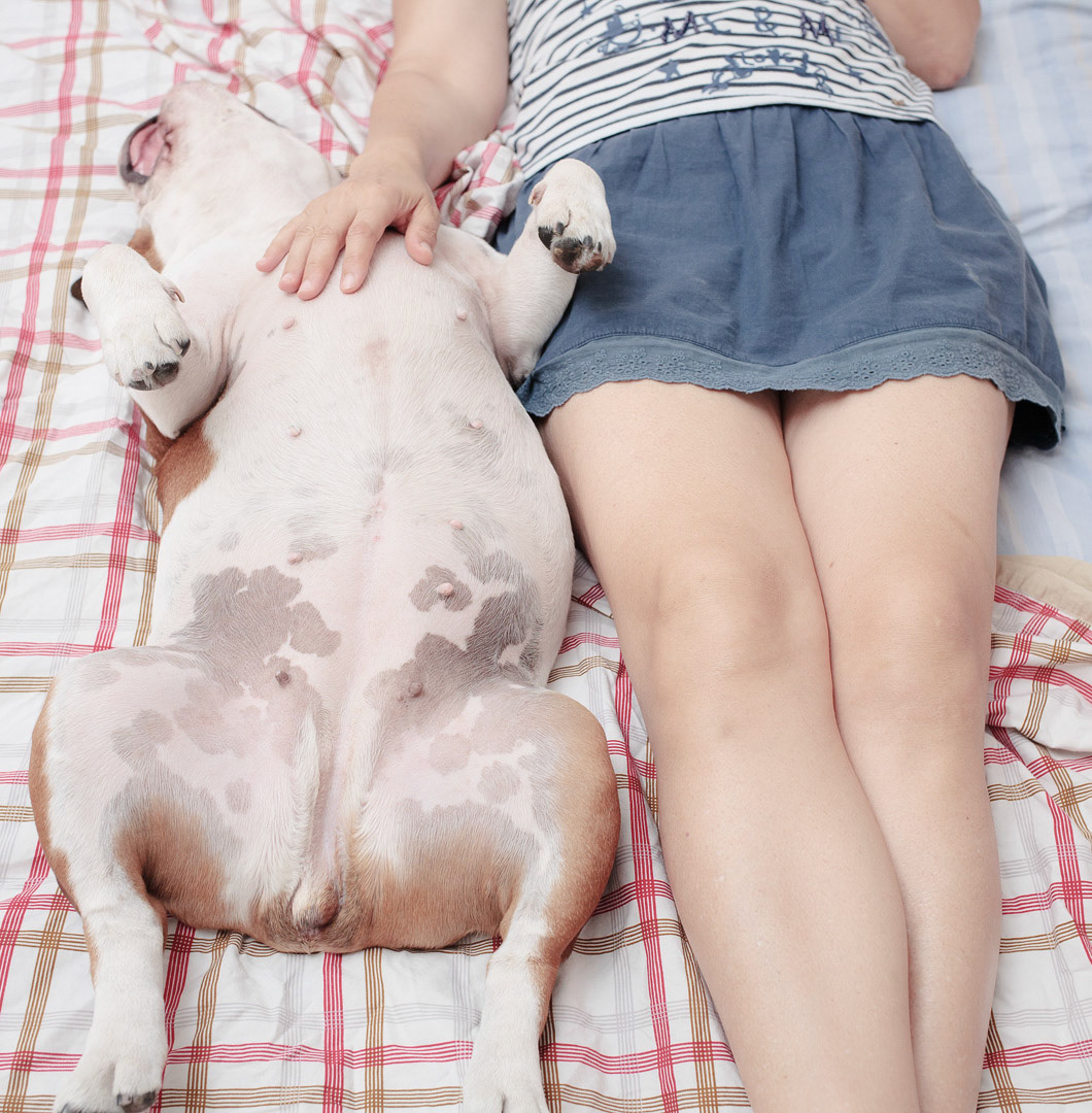 woman and her English Bulldog in bed, side by side