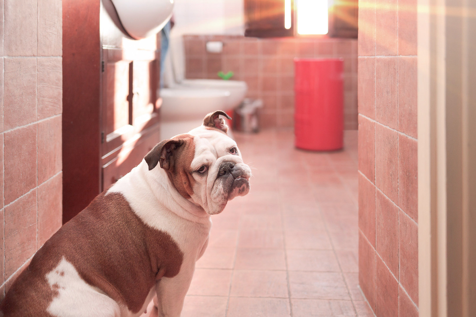 Not pleased by her bathroom's look