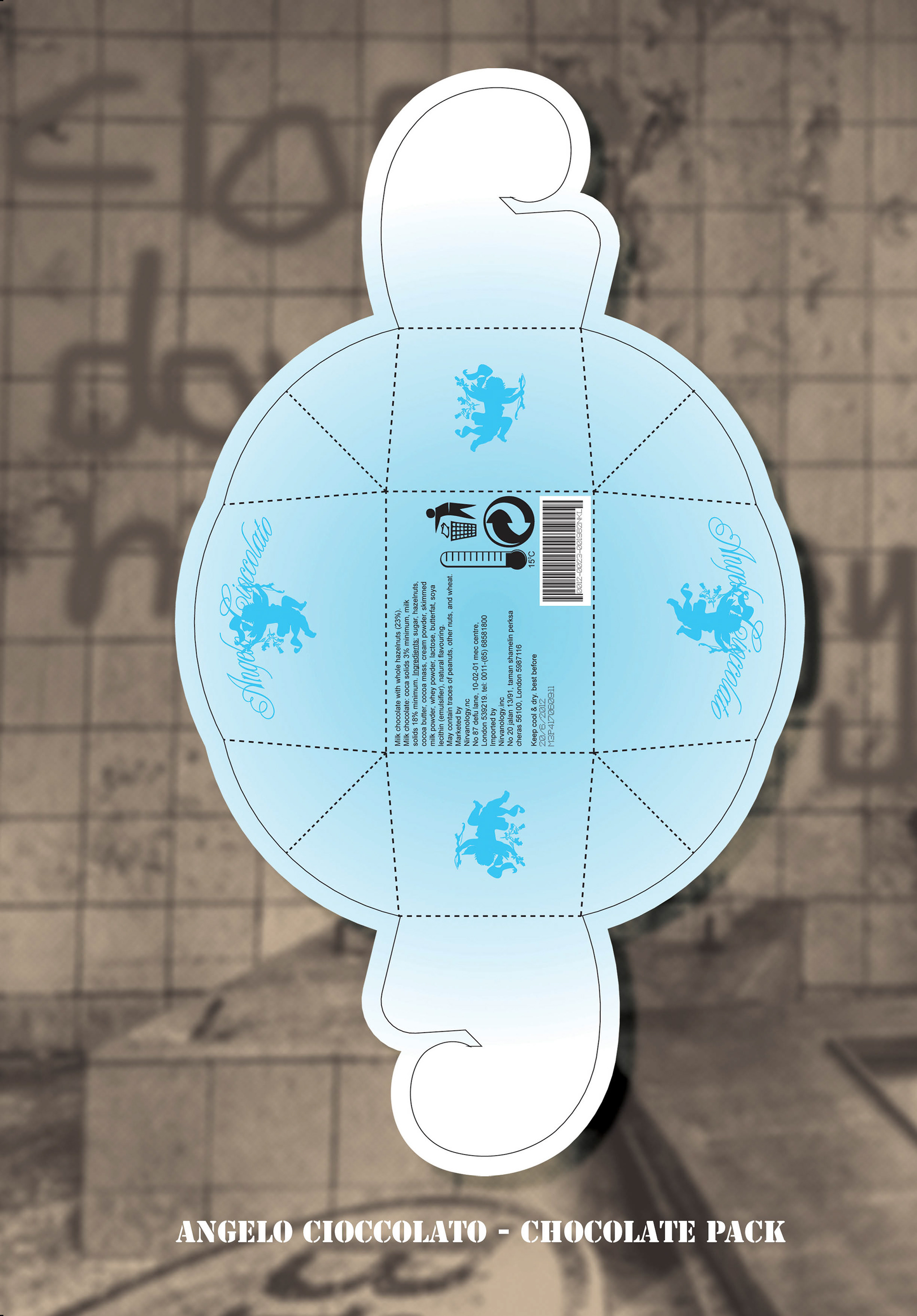 NIRVANOLOGY.INC - Portfolio