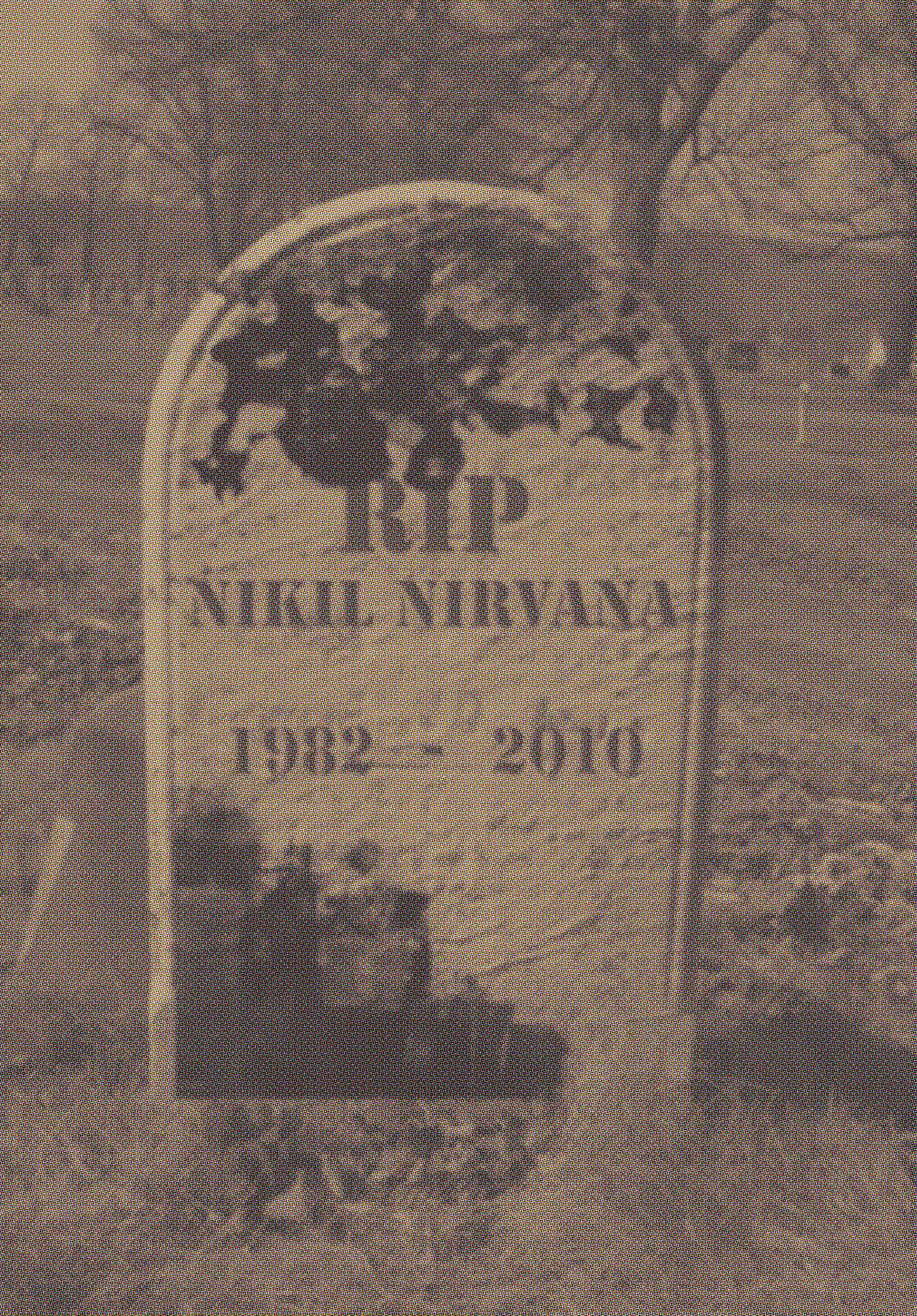 NIRVANOLOGY.INC - Portfolio