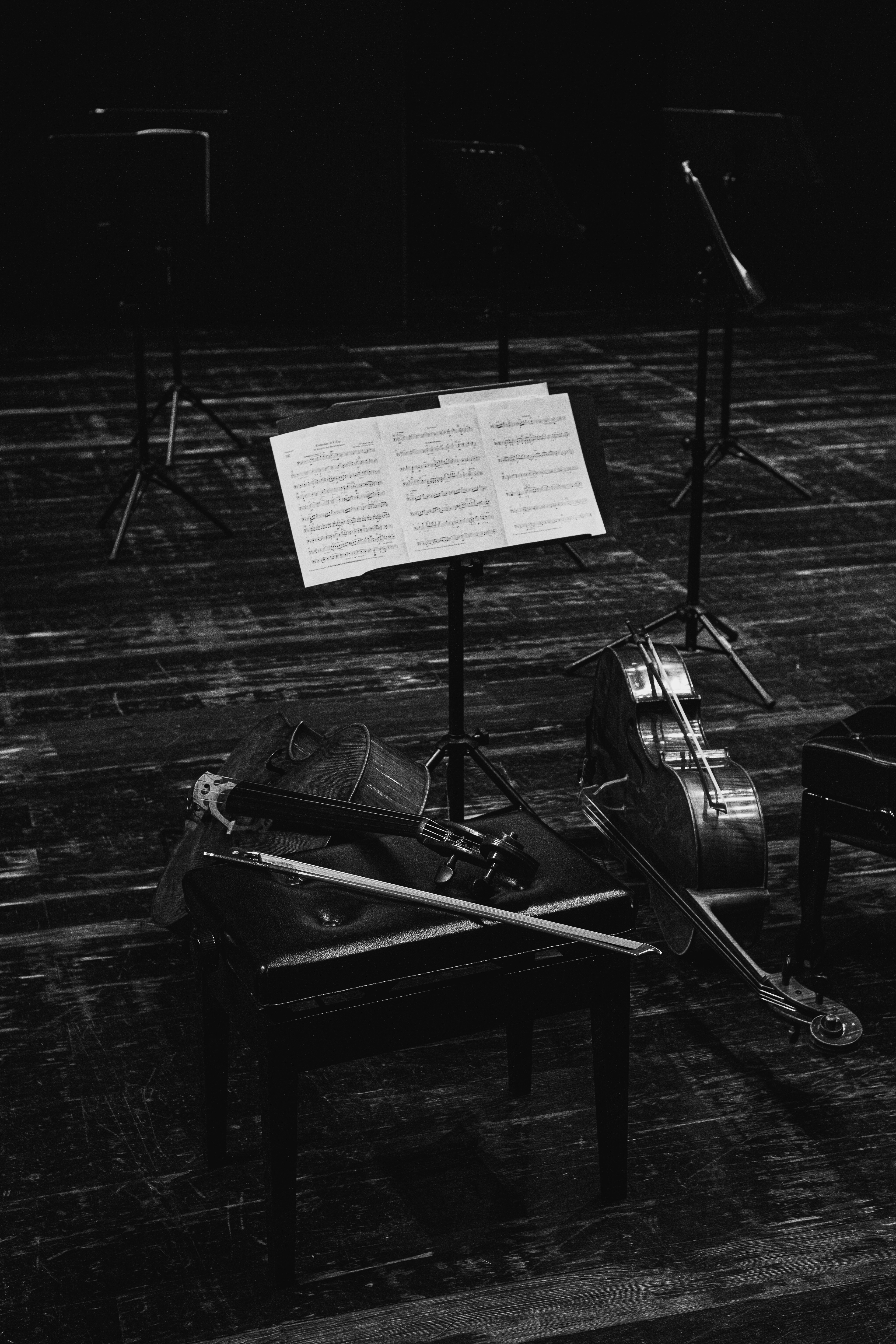 Camerata Atlântica, Teatro Municipal Joaquim Benite - janeiro de 2024