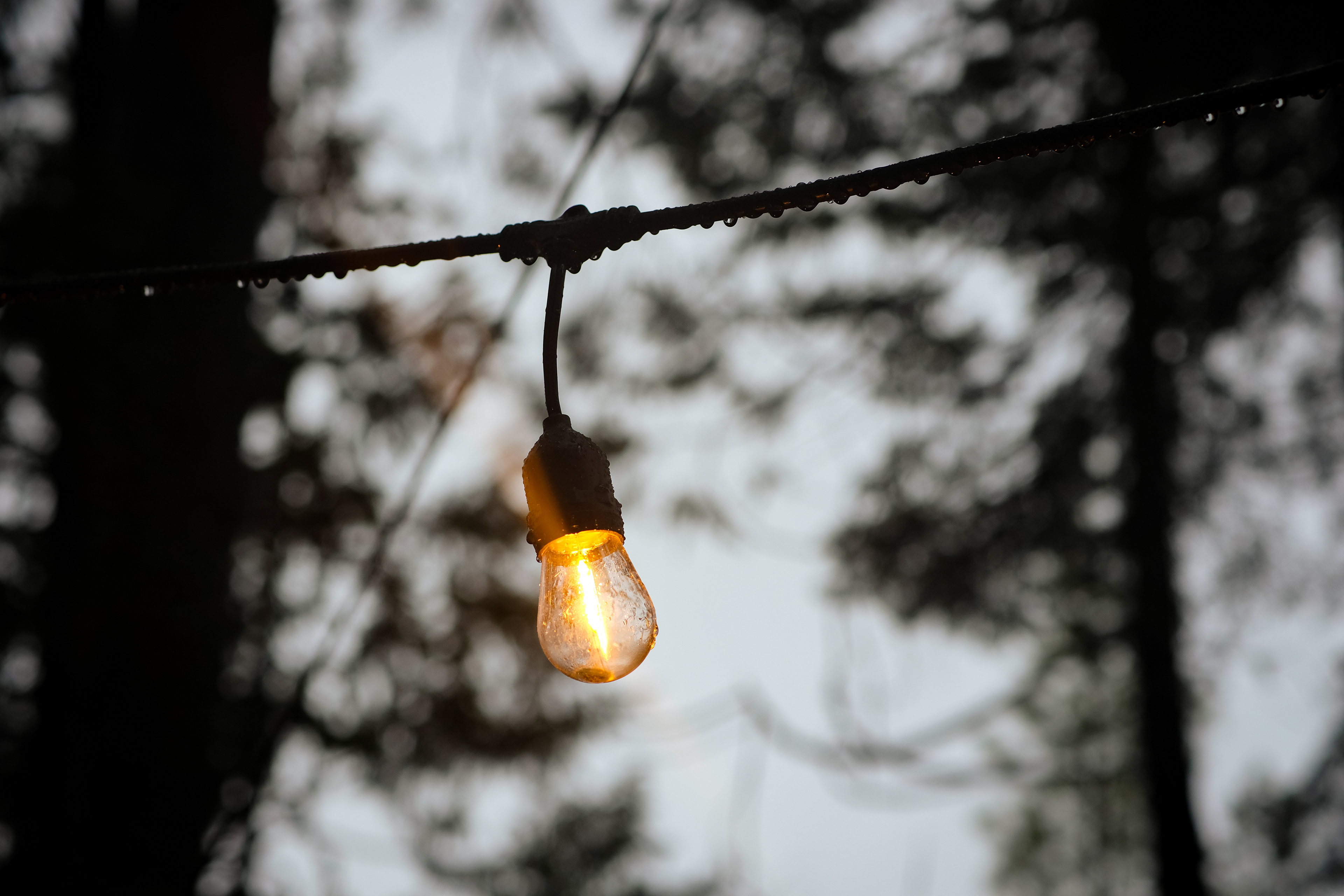 "porch light" | Arnold, CA 2023