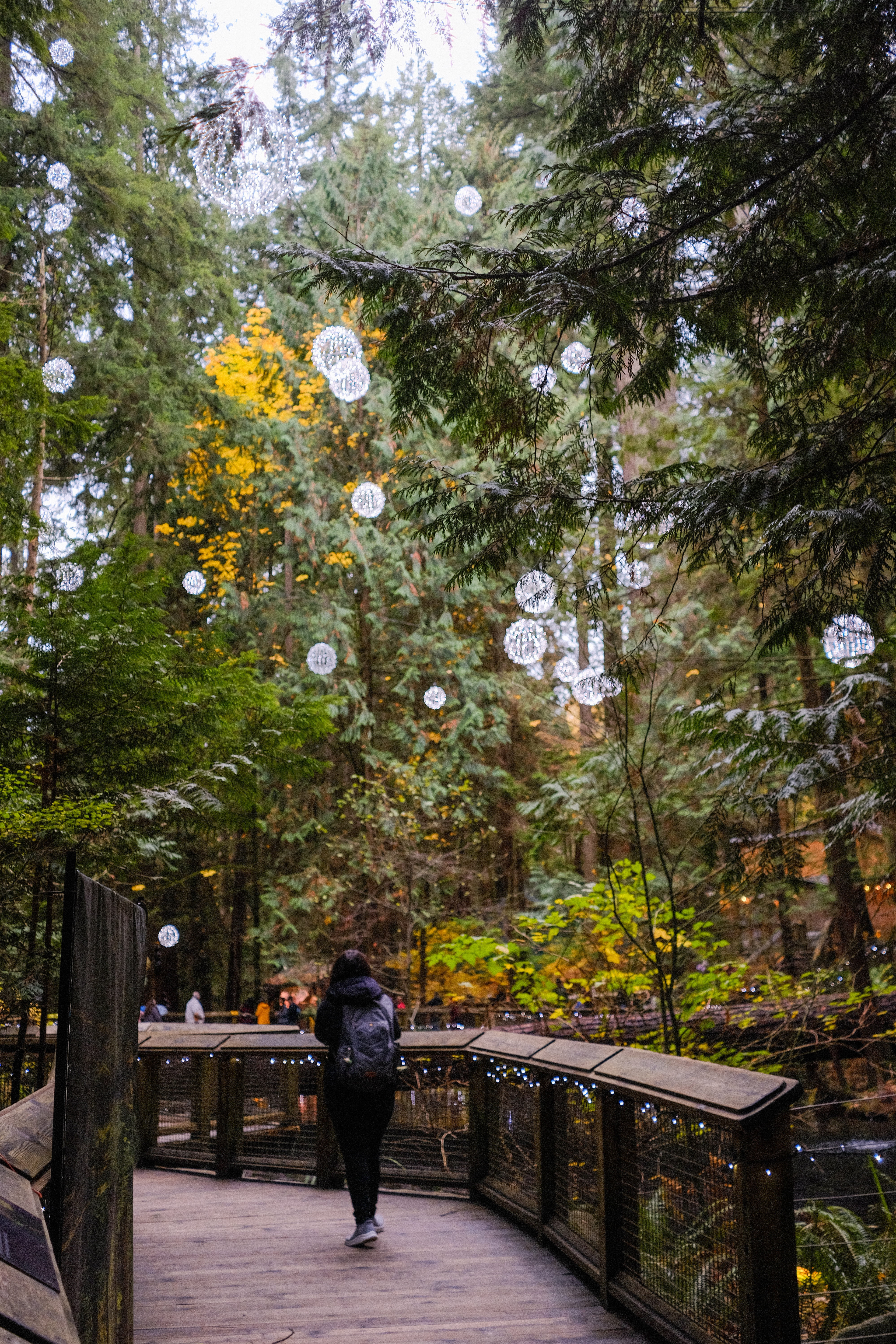 "Into the woods" | Vancouver 2025