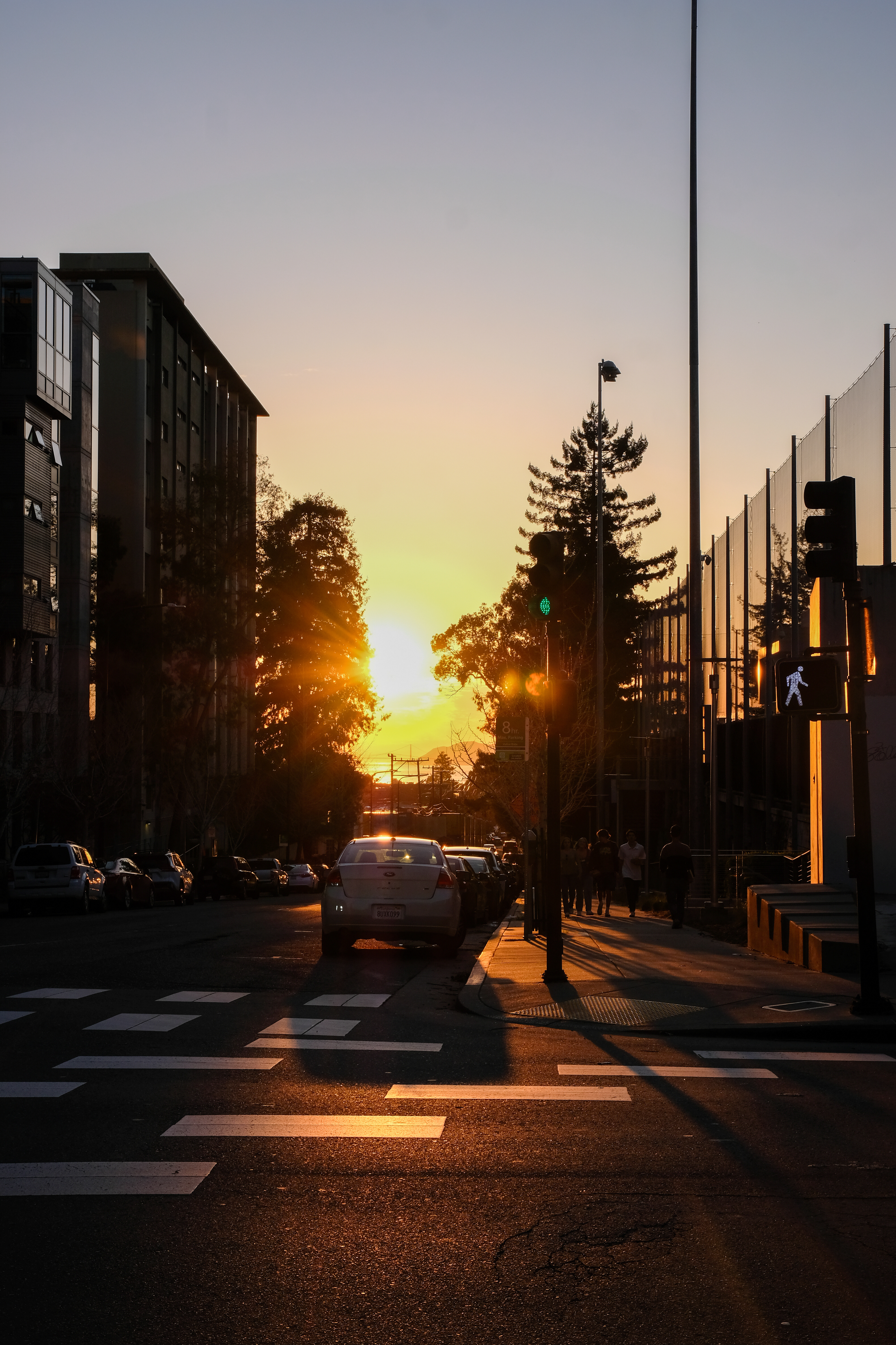 "Streetlight" | Berkeley 2024
