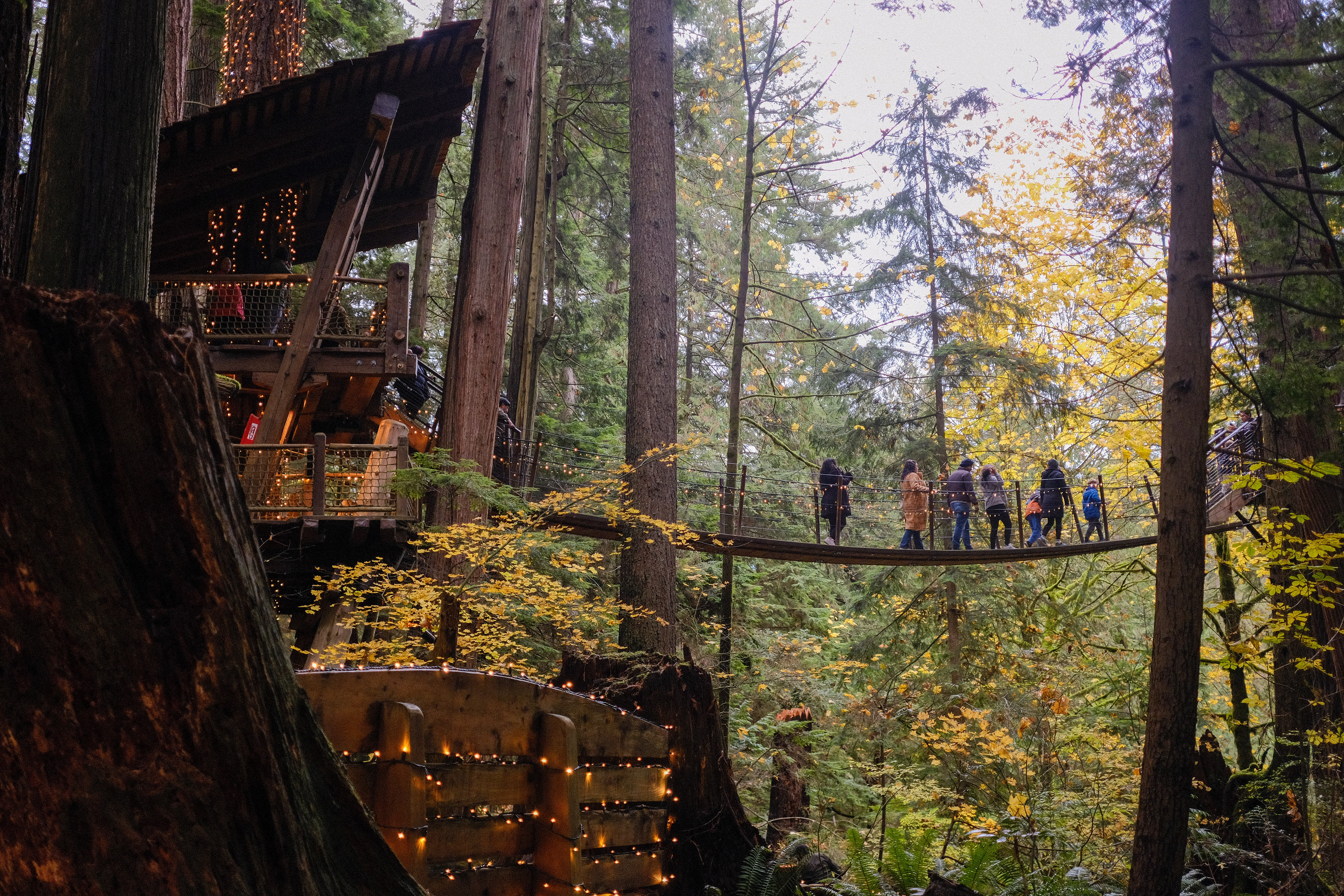 Capilano suspension bridge park, vancouver 2025