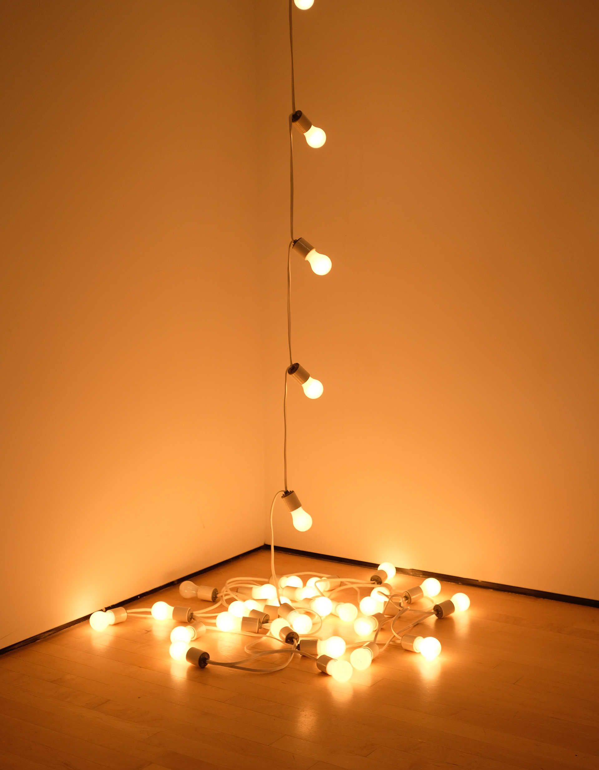 "ideas" | SF MoMA 2024