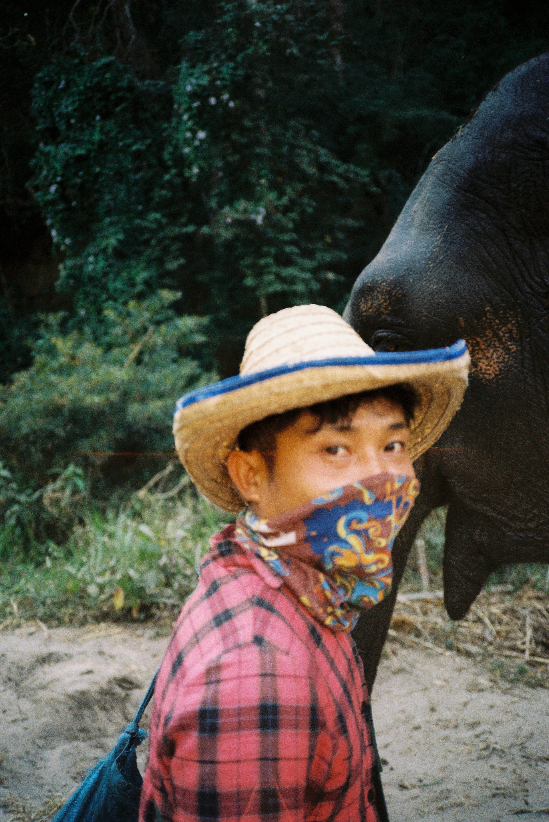 Elephant keeper At an elephant sanctuary — Coordinates: 18°49'54.0"N 98°53'23.0"E Chiang Mai, Thailand, 2026