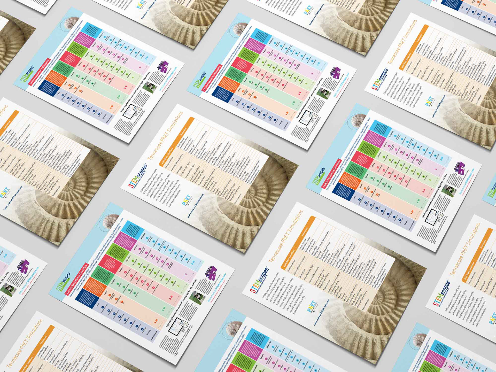 STEMscopes Math various flyers
