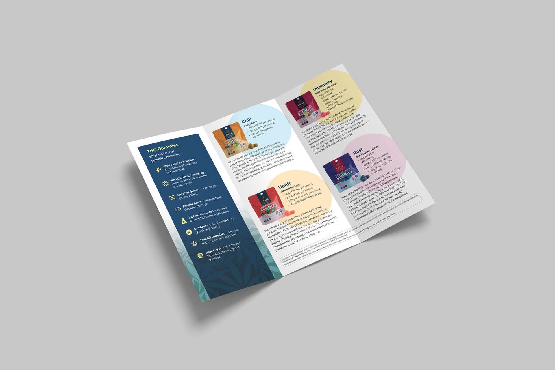 Trifold brochure flat view of the inside