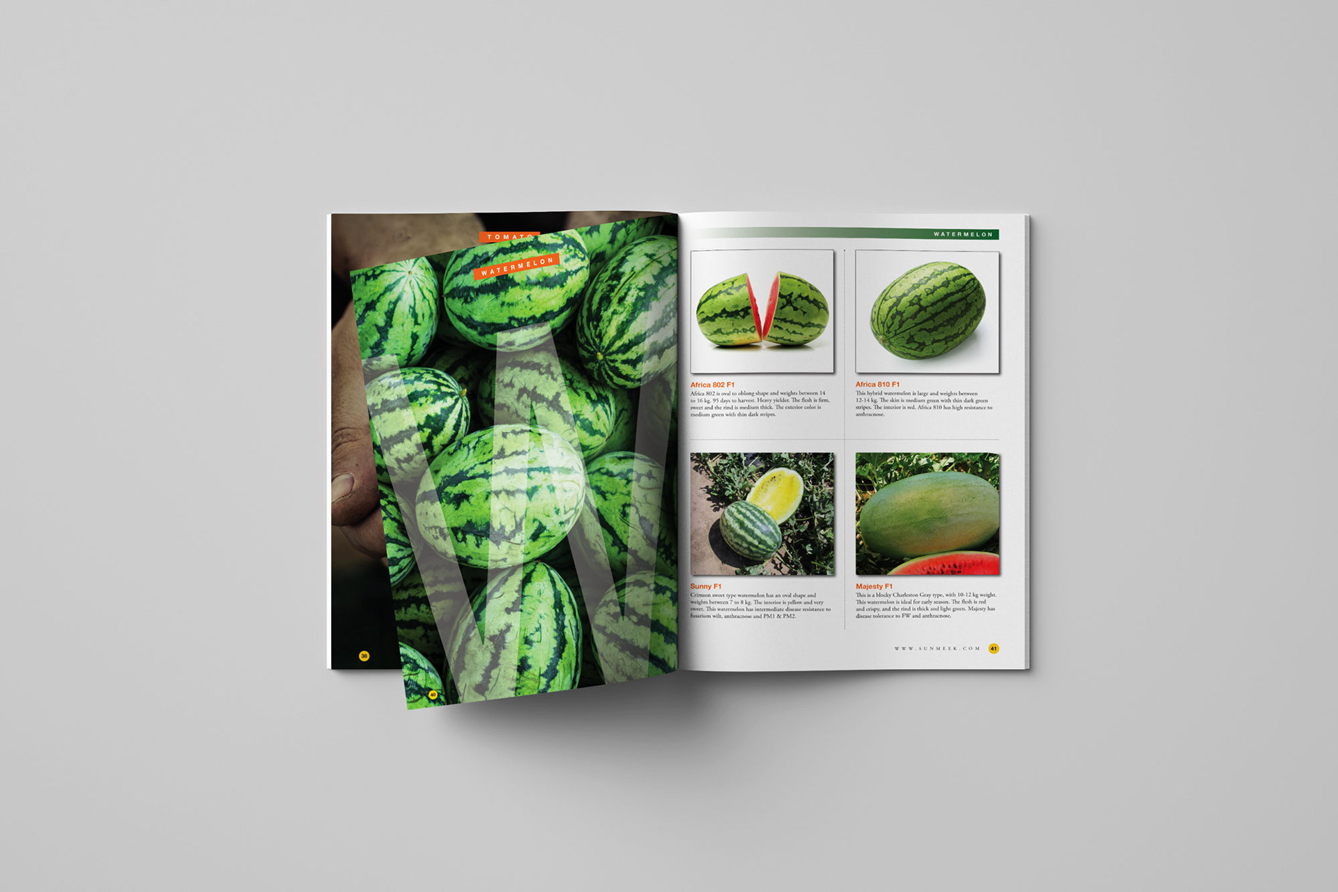 Sunmeek interior catalog spread of watermelon and watermelon seeds