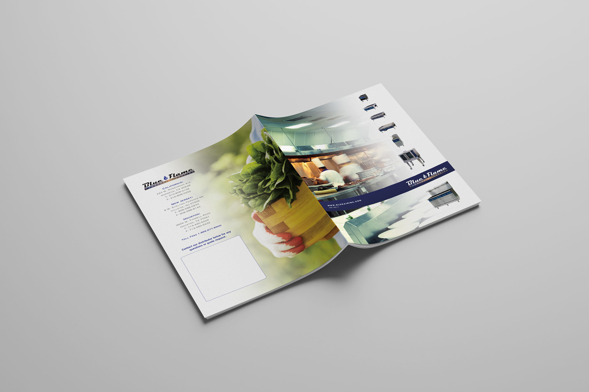 Front and back of Bluefame product catalog