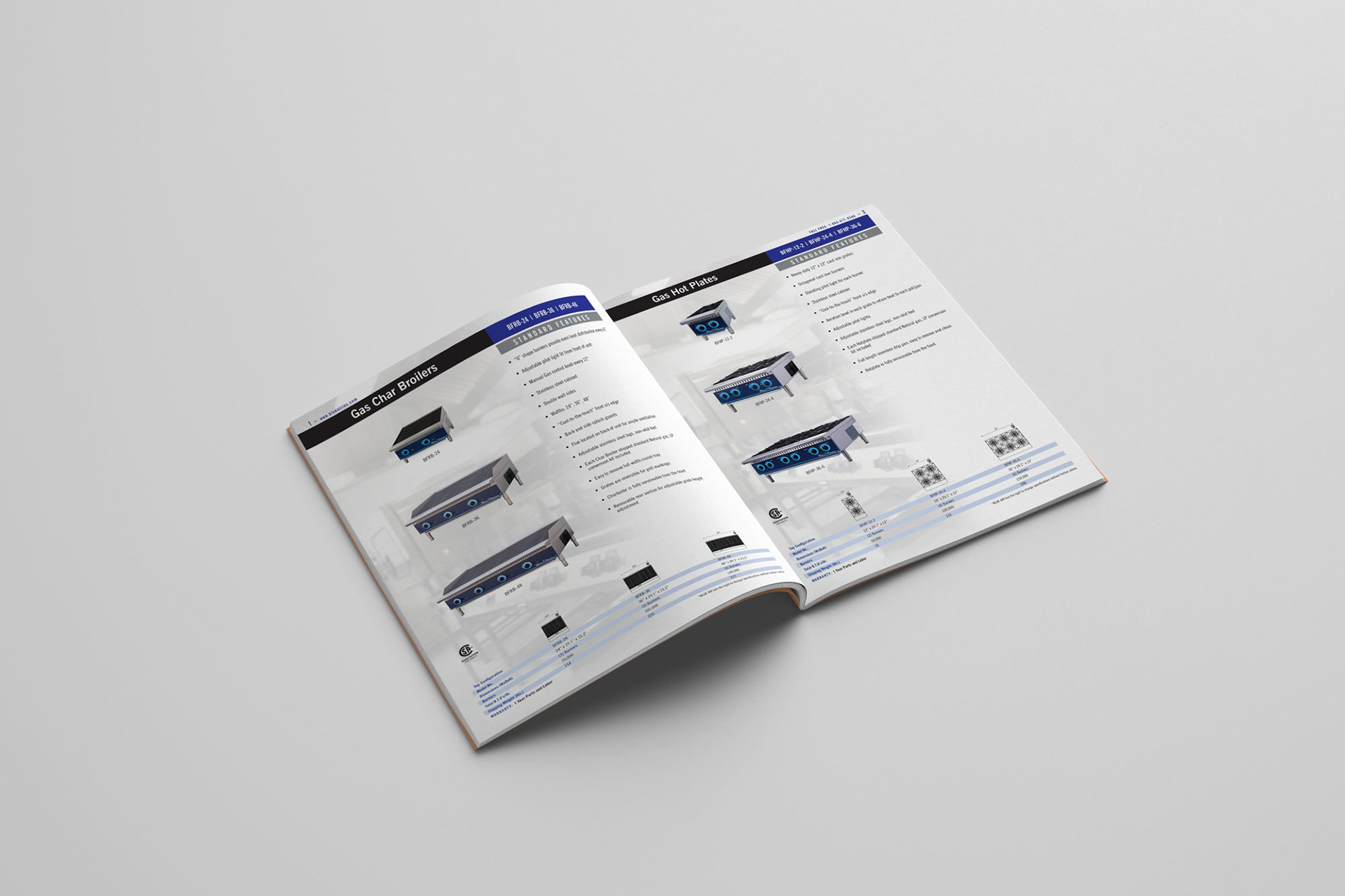 Blueflame catalog interior spread