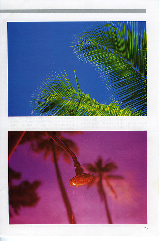 コマーシャルフォト