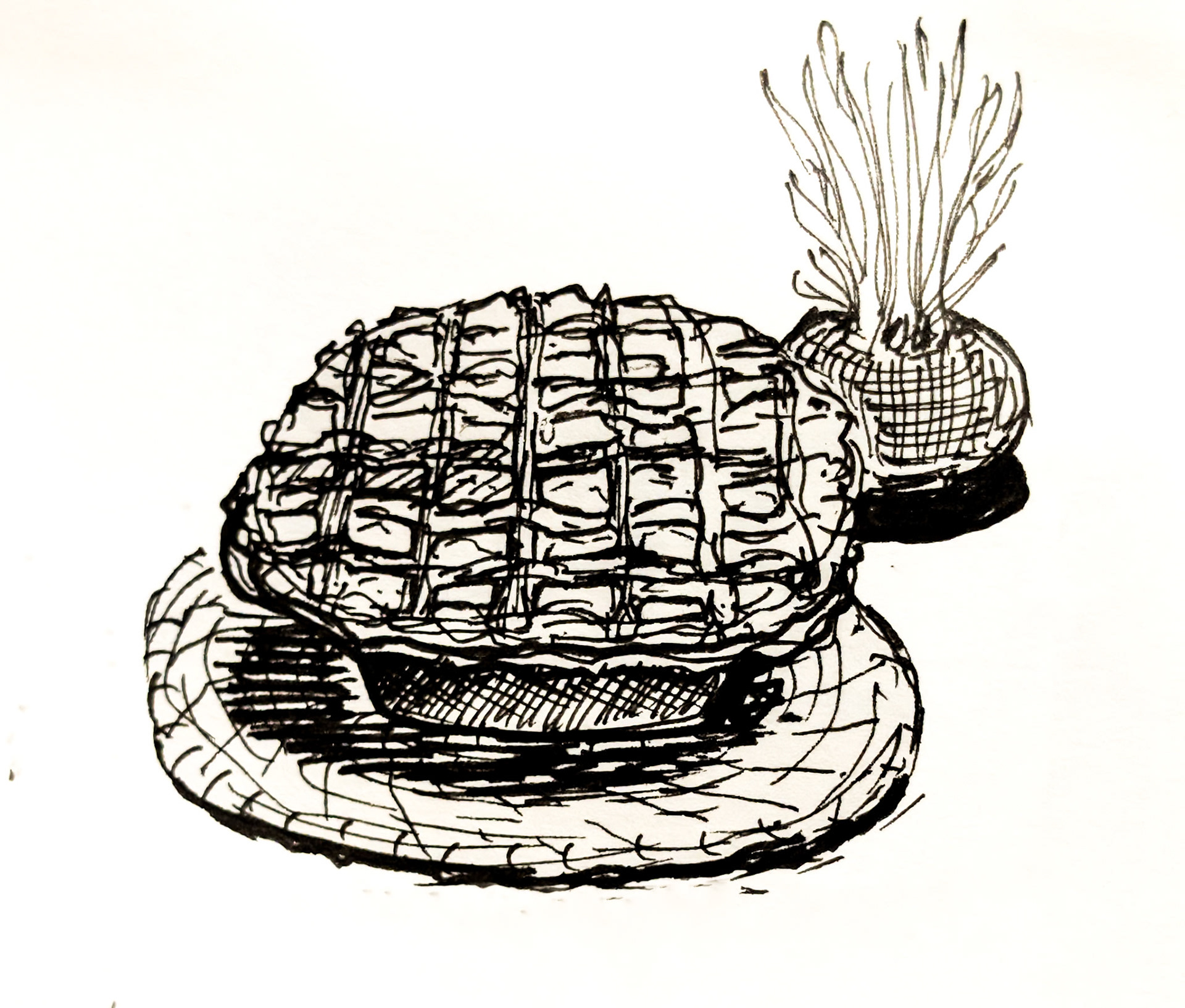 Apple Pie. Thanksgiving - from when we hosted our lovely friends.