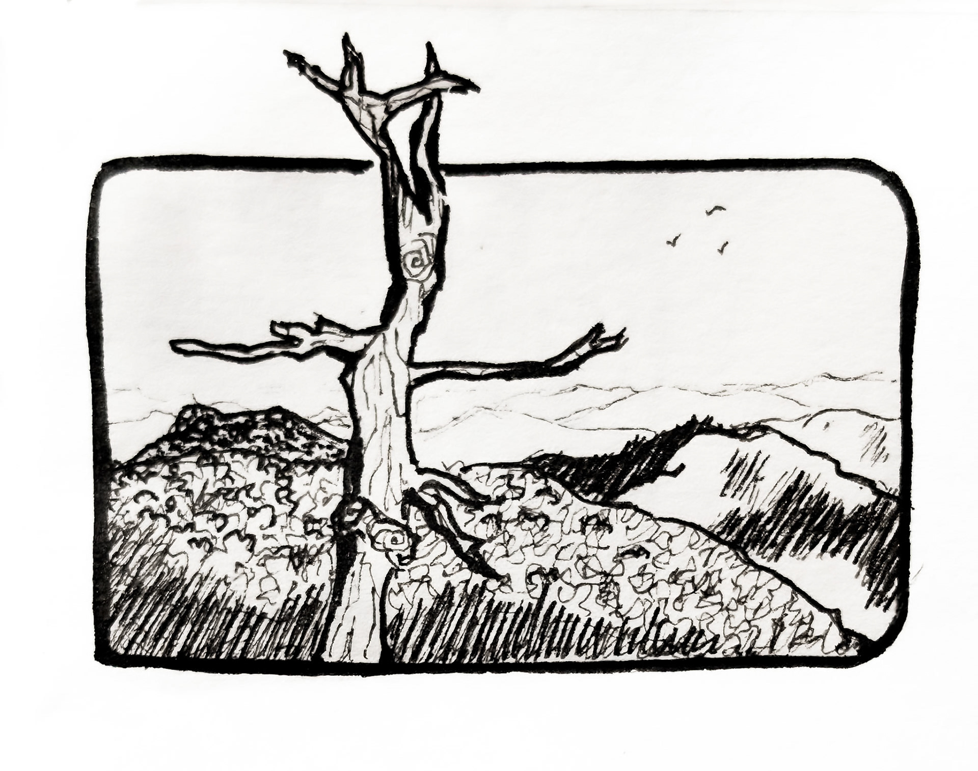 Shenandoah National Park. End of fall season. Quick at location sketch for the lone tree. I see you.