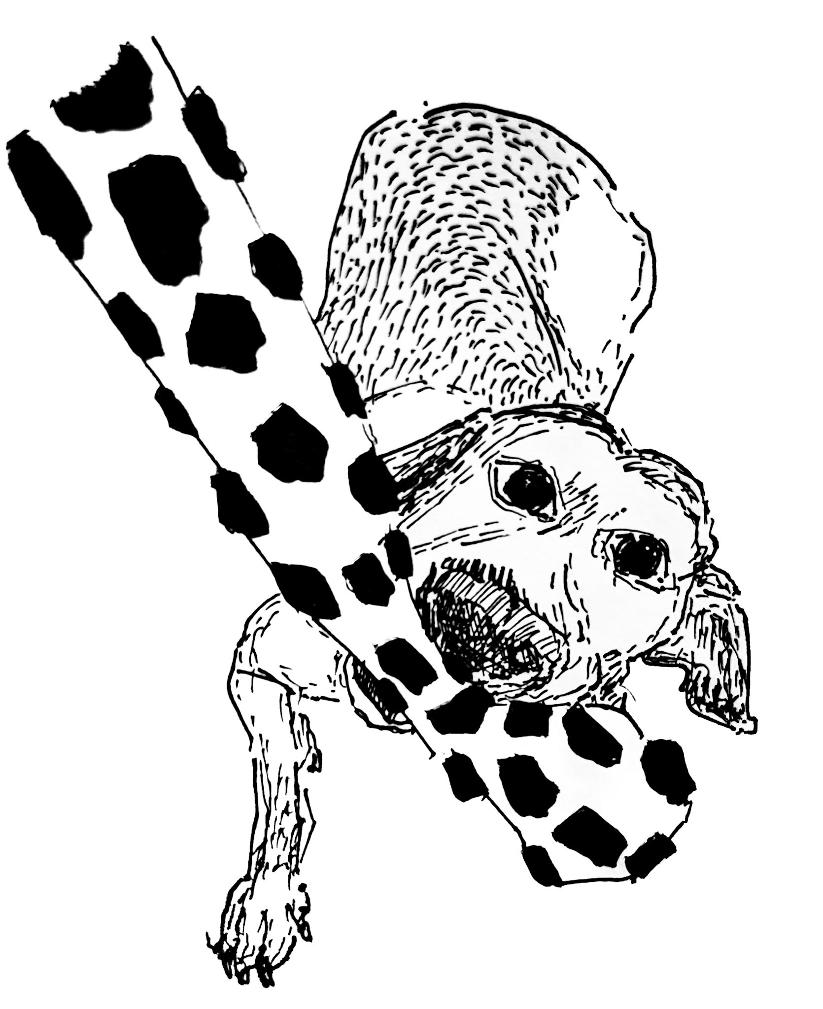 Marley. World's Best Companion. Bestest. Bestestest.