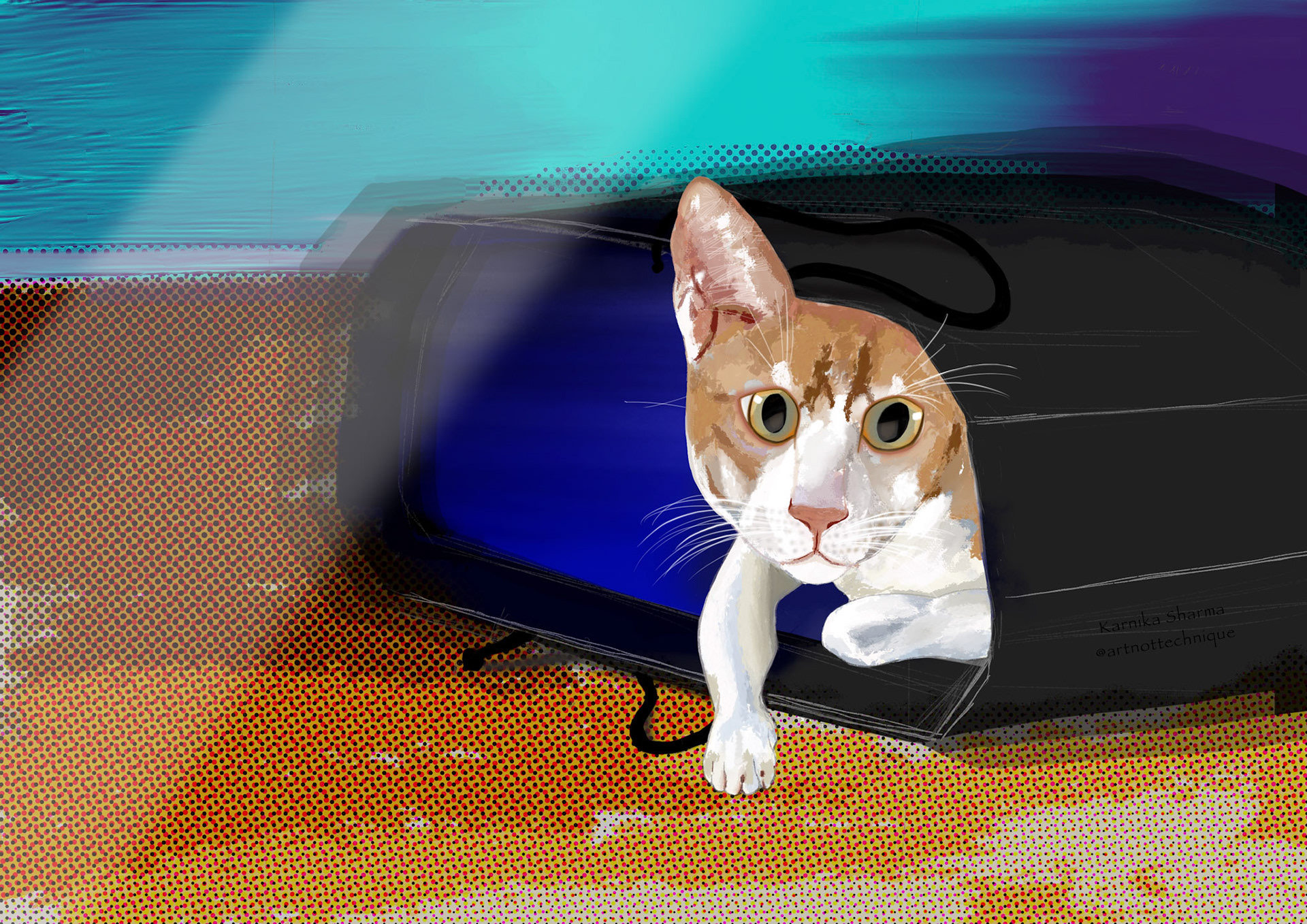 Rambo - the cat that was left out of the bag