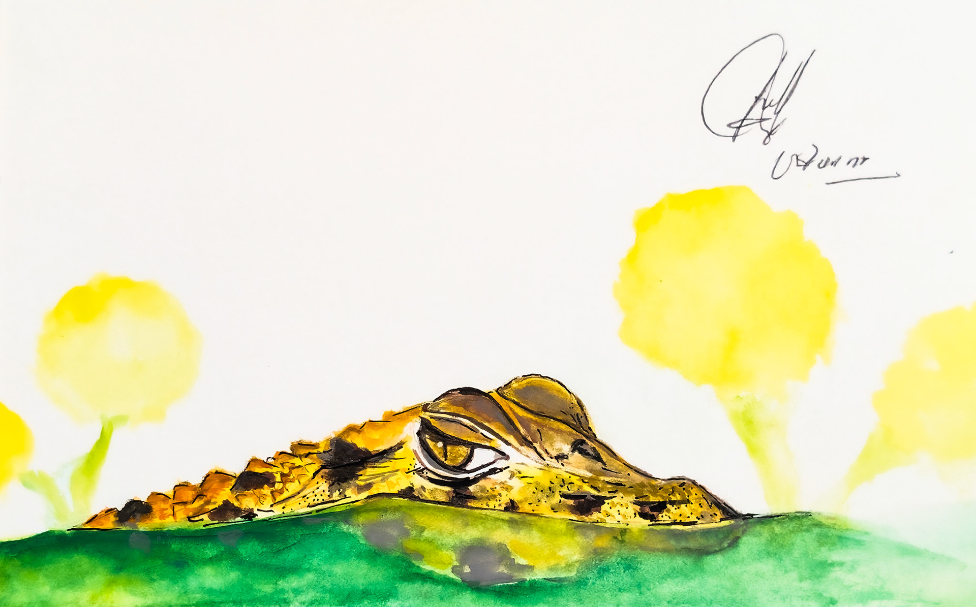 Caiman. Amazon Rain Forest. Peru - signed by our tour guide