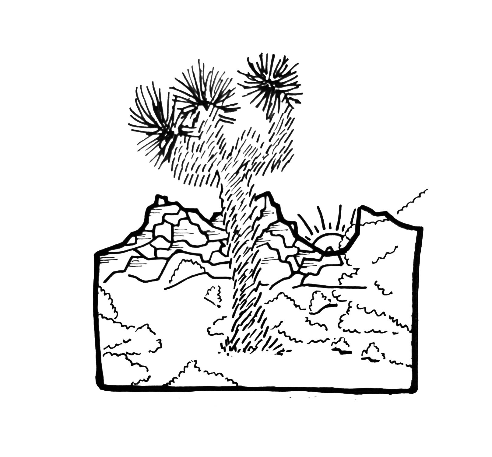 Joshua Tree National Park. California - I love this sketch. I also love Satvik's astrophotography even more from here.