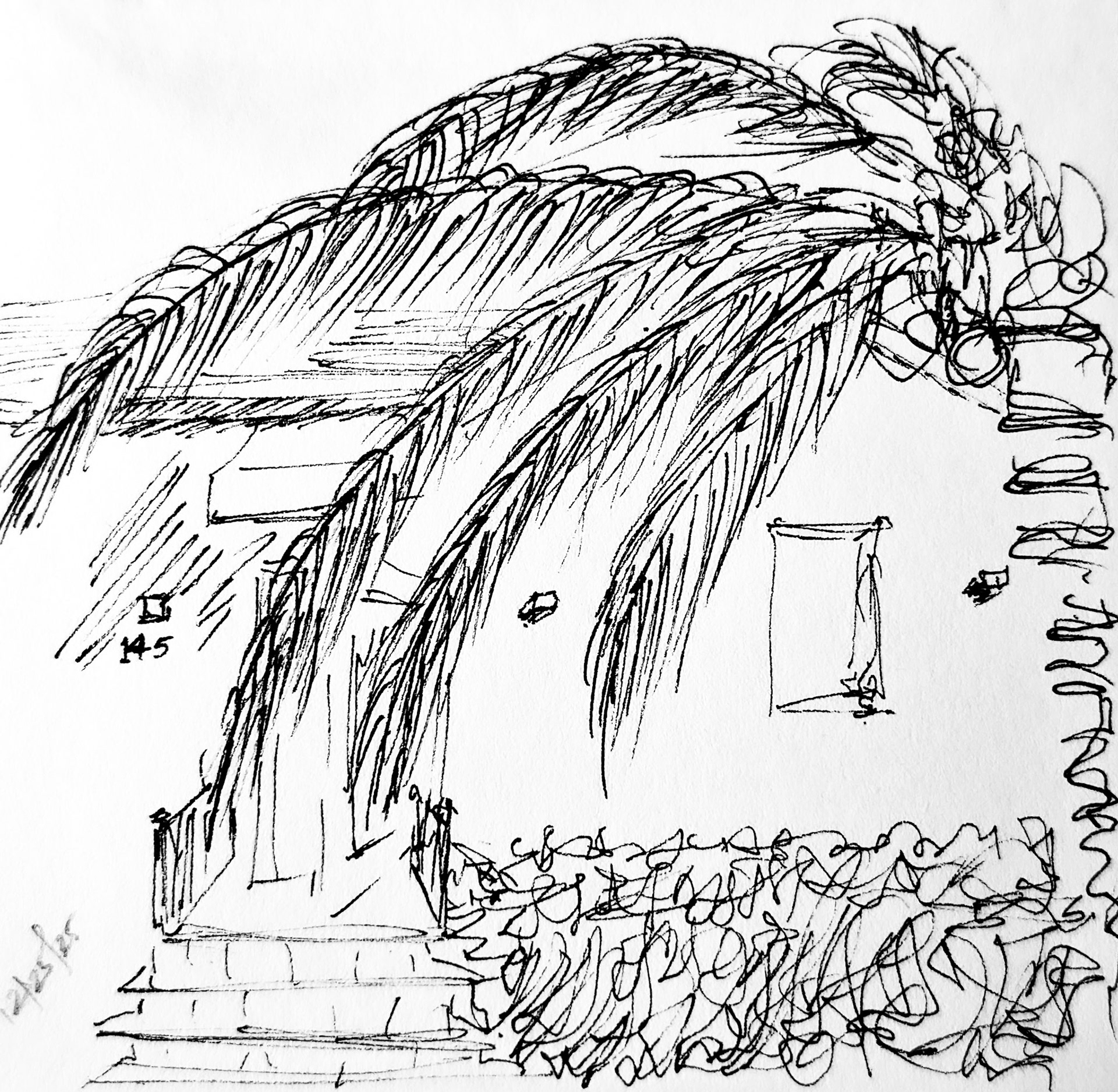 Airbnb. Sunny Florida . Done in under 2 mins as I waited for our car to be loaded